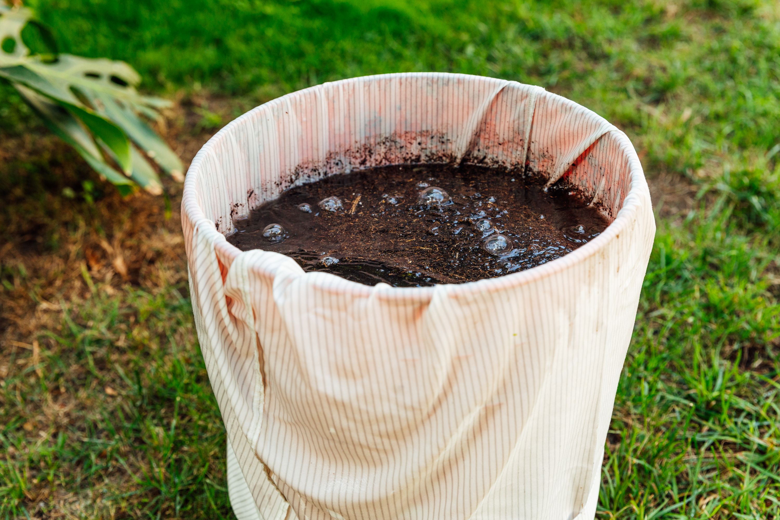 How to Use Manure Tea in Your Garden