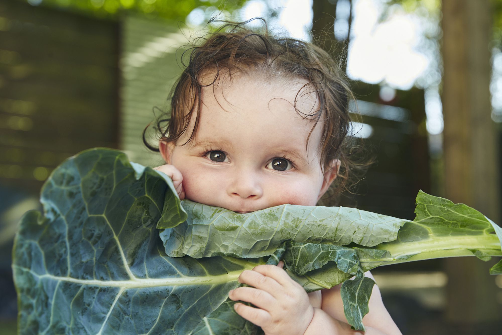 Dirty Dozen List Reveals Produce with Most Pesticide Residue