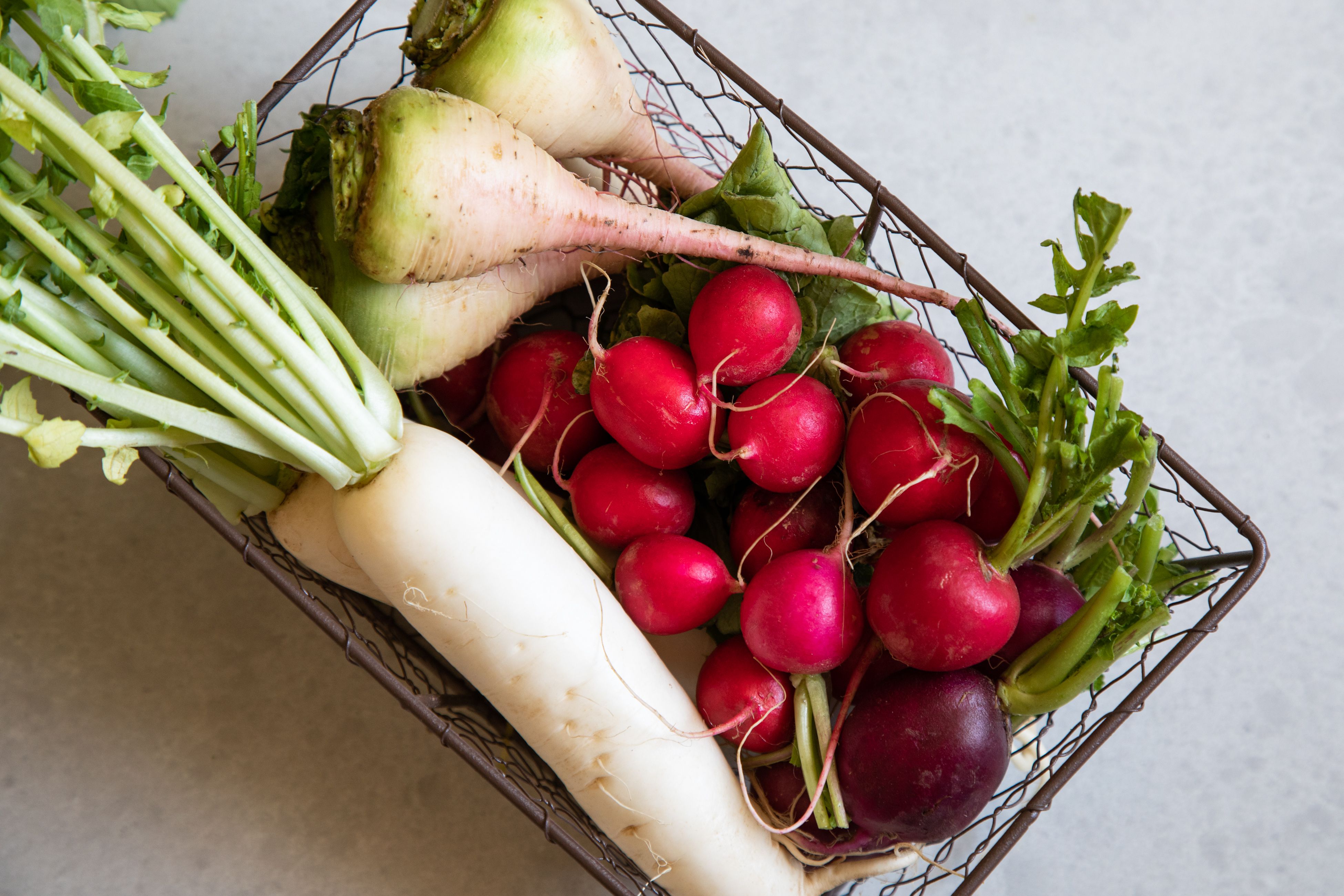 Guide to Radishes