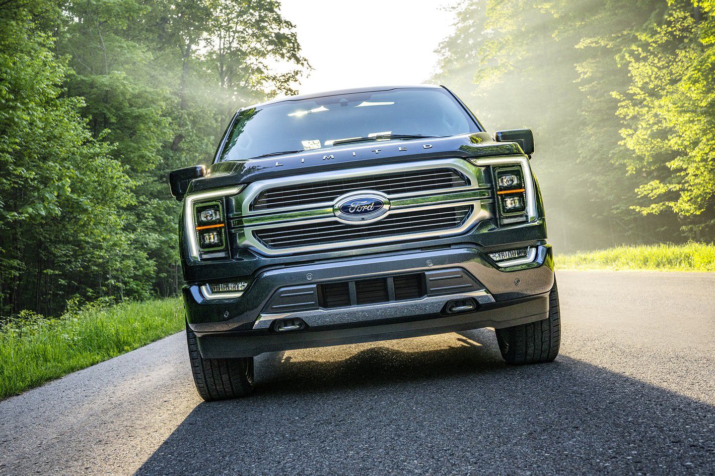 Ford F-150 Pickups Dominated Vehicle Sales in 2020
