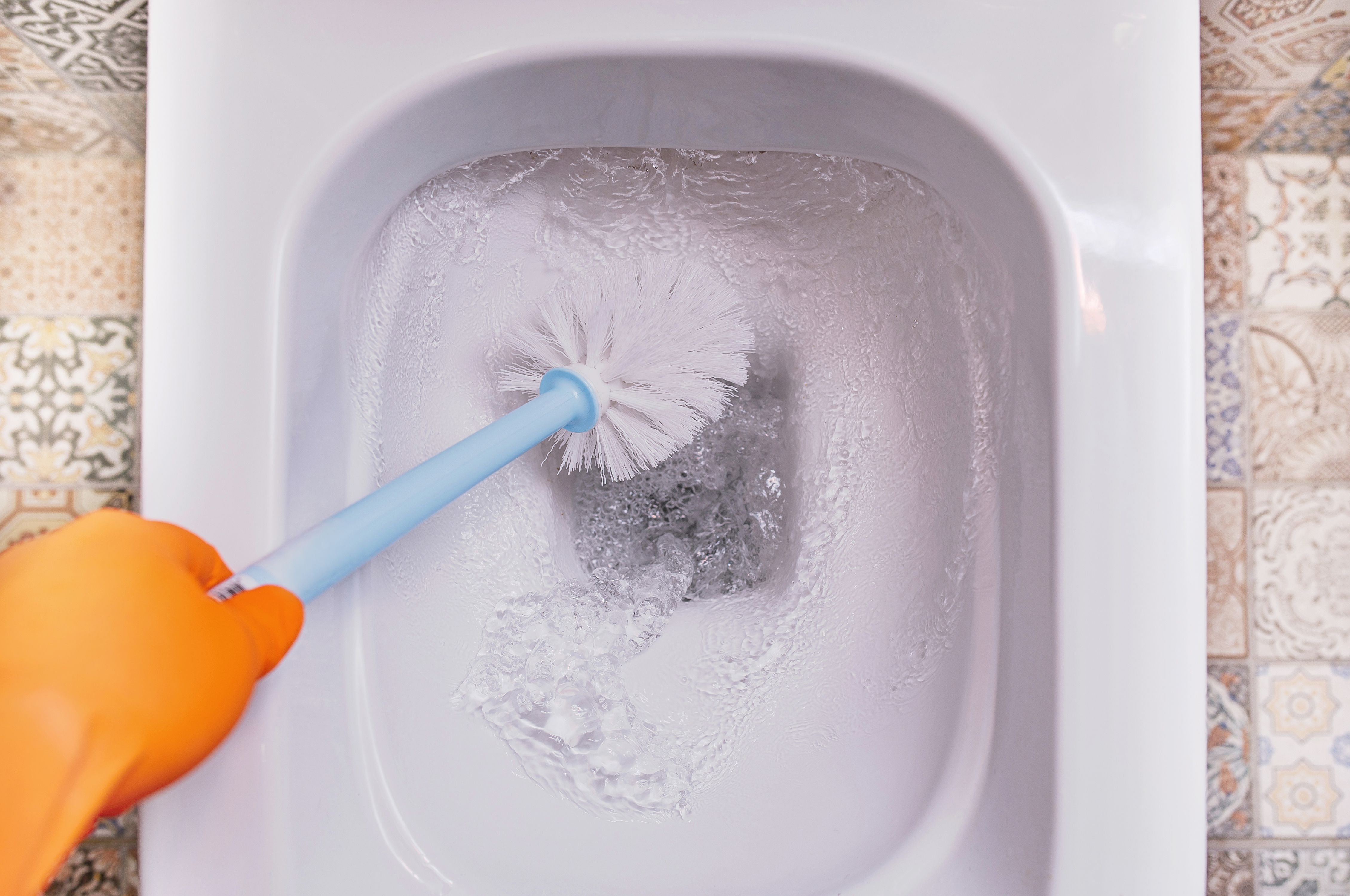 The Proper Way to Clean a Toilet Brush and Holder