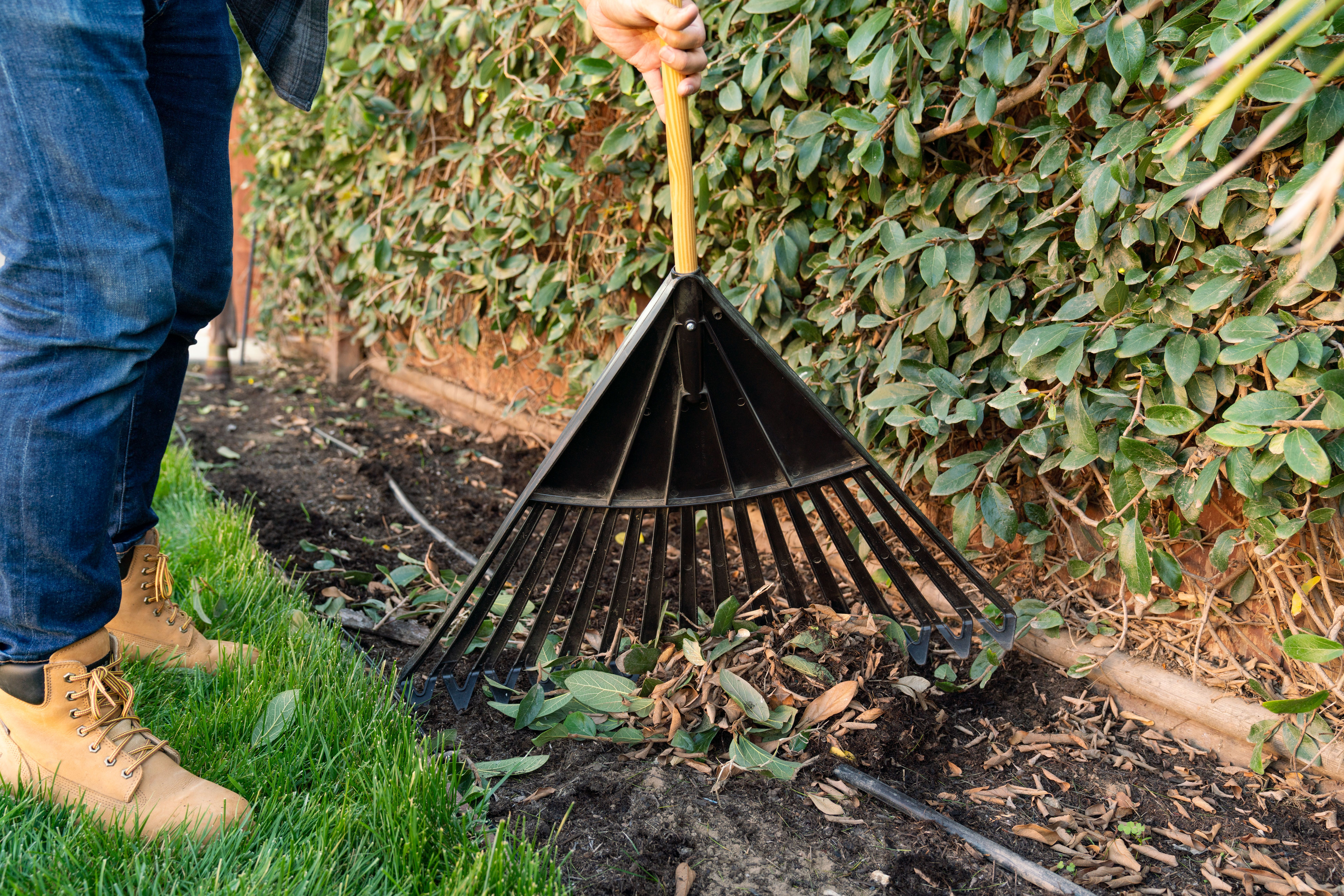 The​​ Basic Lawn Care Tools Everyone Should Have