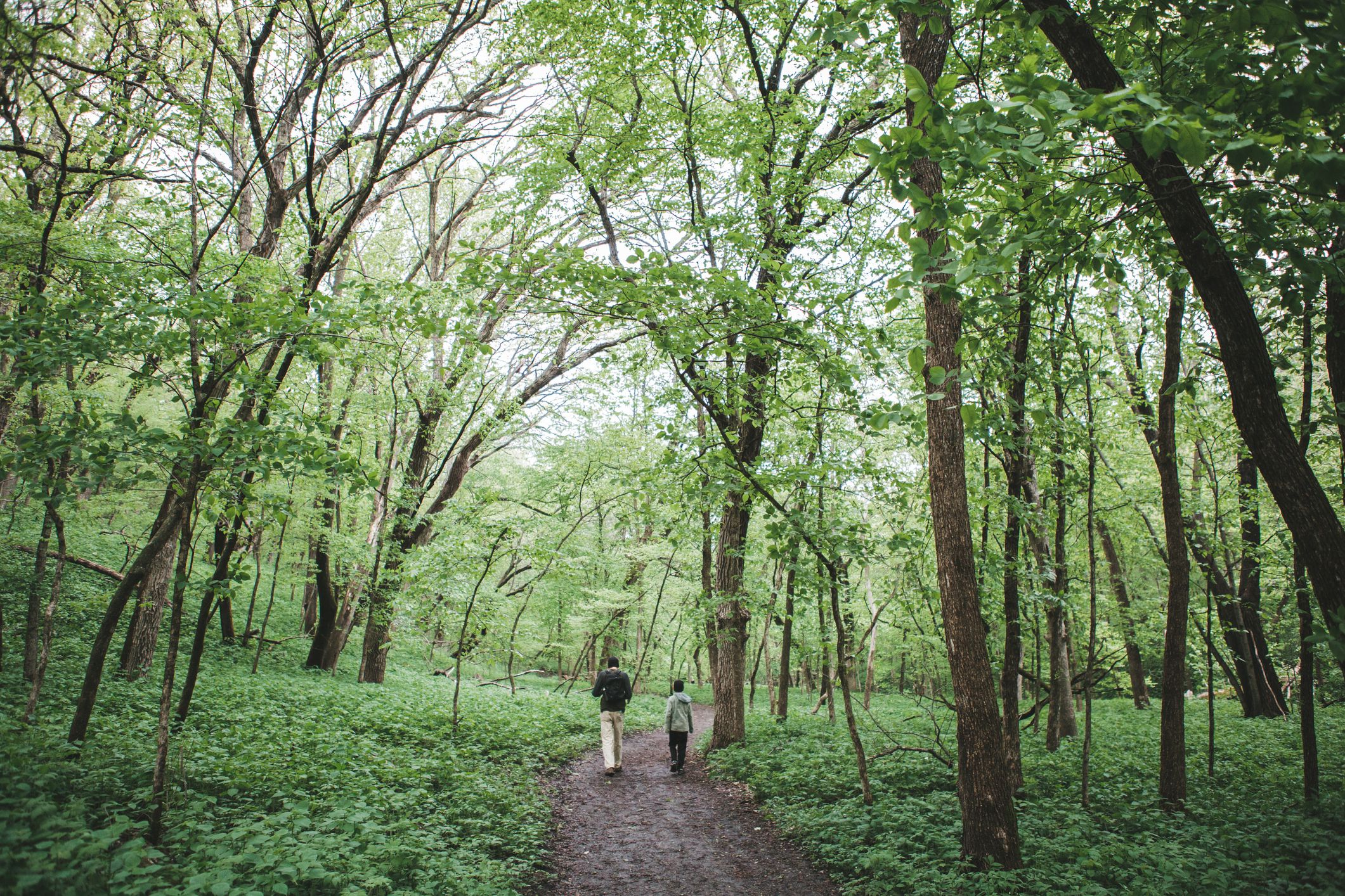 How to Talk to Your Kids about Climate Change