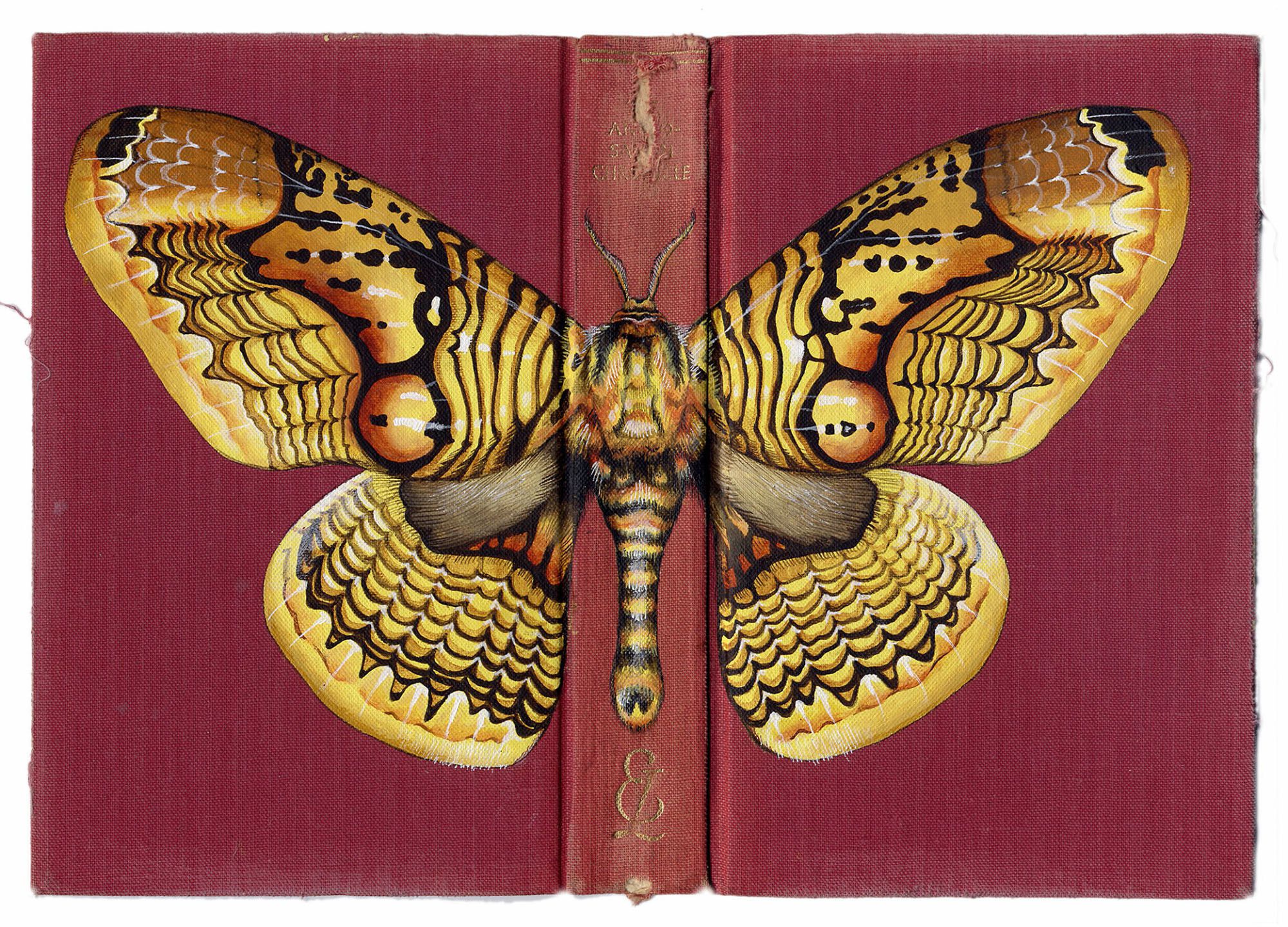 Recycled Book Covers Are Inspired by Love of Nature