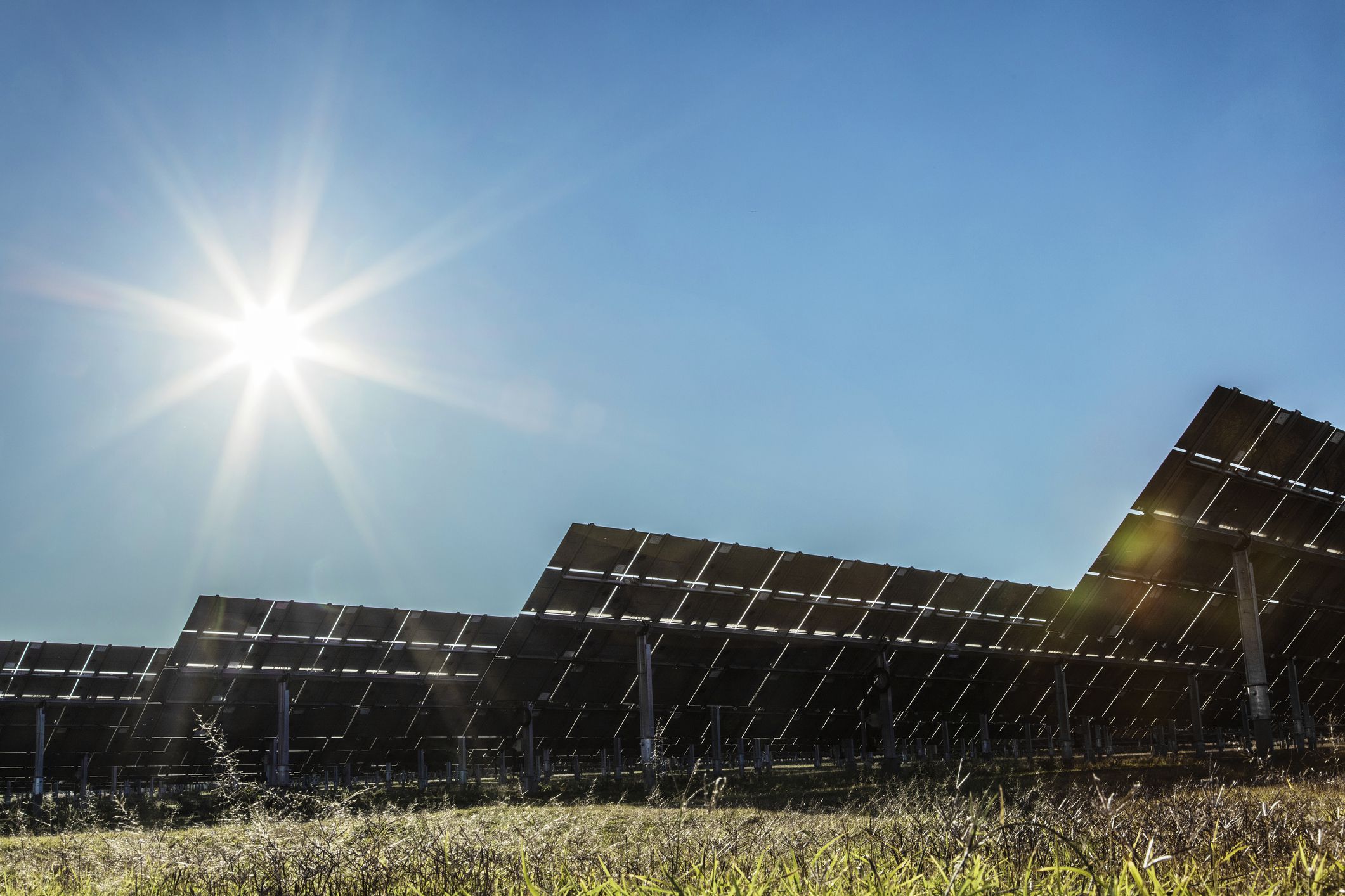Largest Solar Project Might Change How We Think About Power