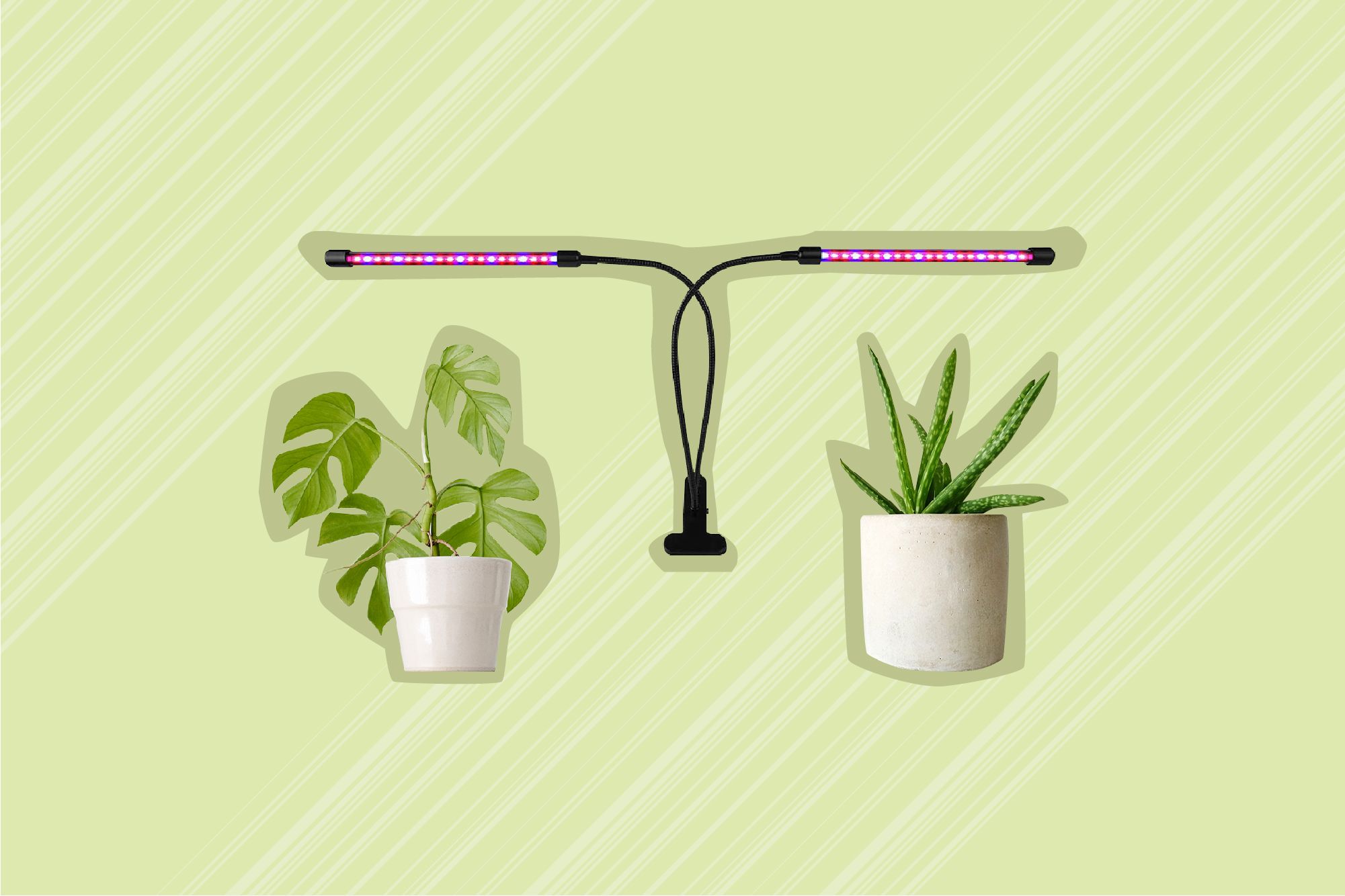 Mimic the Suns Rays With Our Favorite Grow Lights