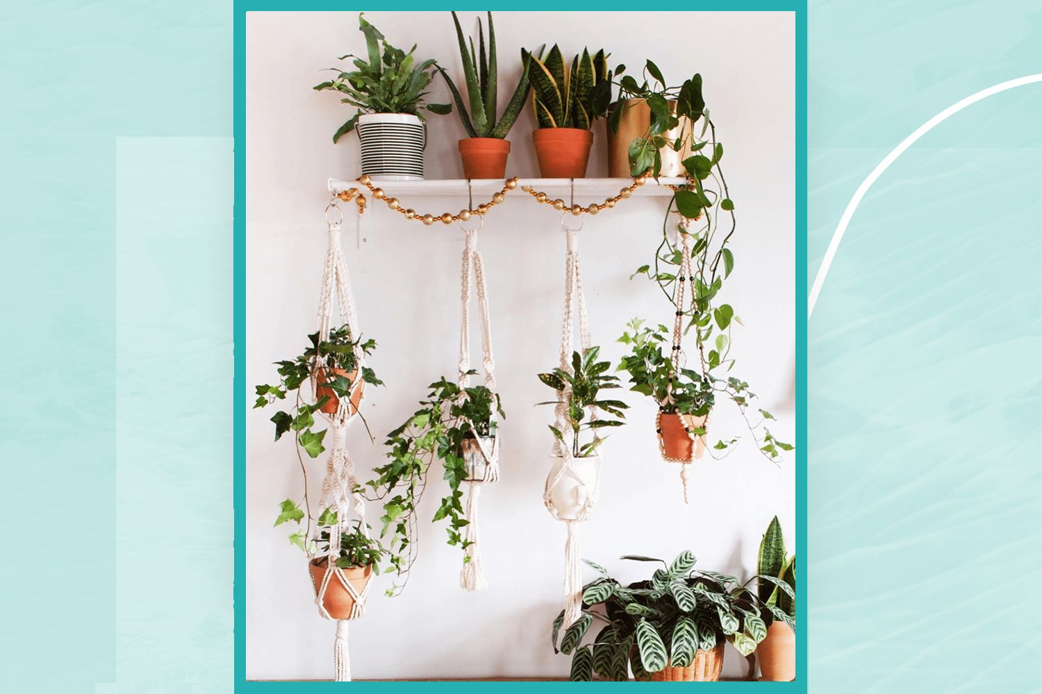 Influencers Share Their Favorite Plant Products to Shop at IKEA