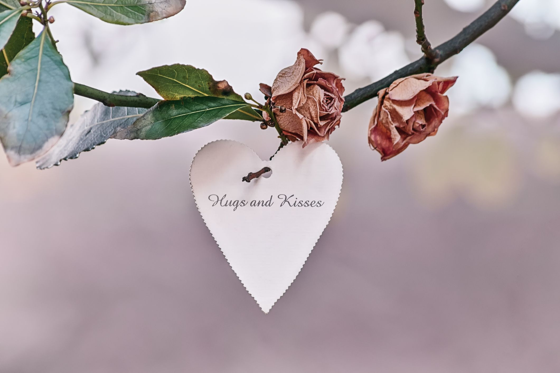 Use Your Garden For a More Sustainable Valentines Day