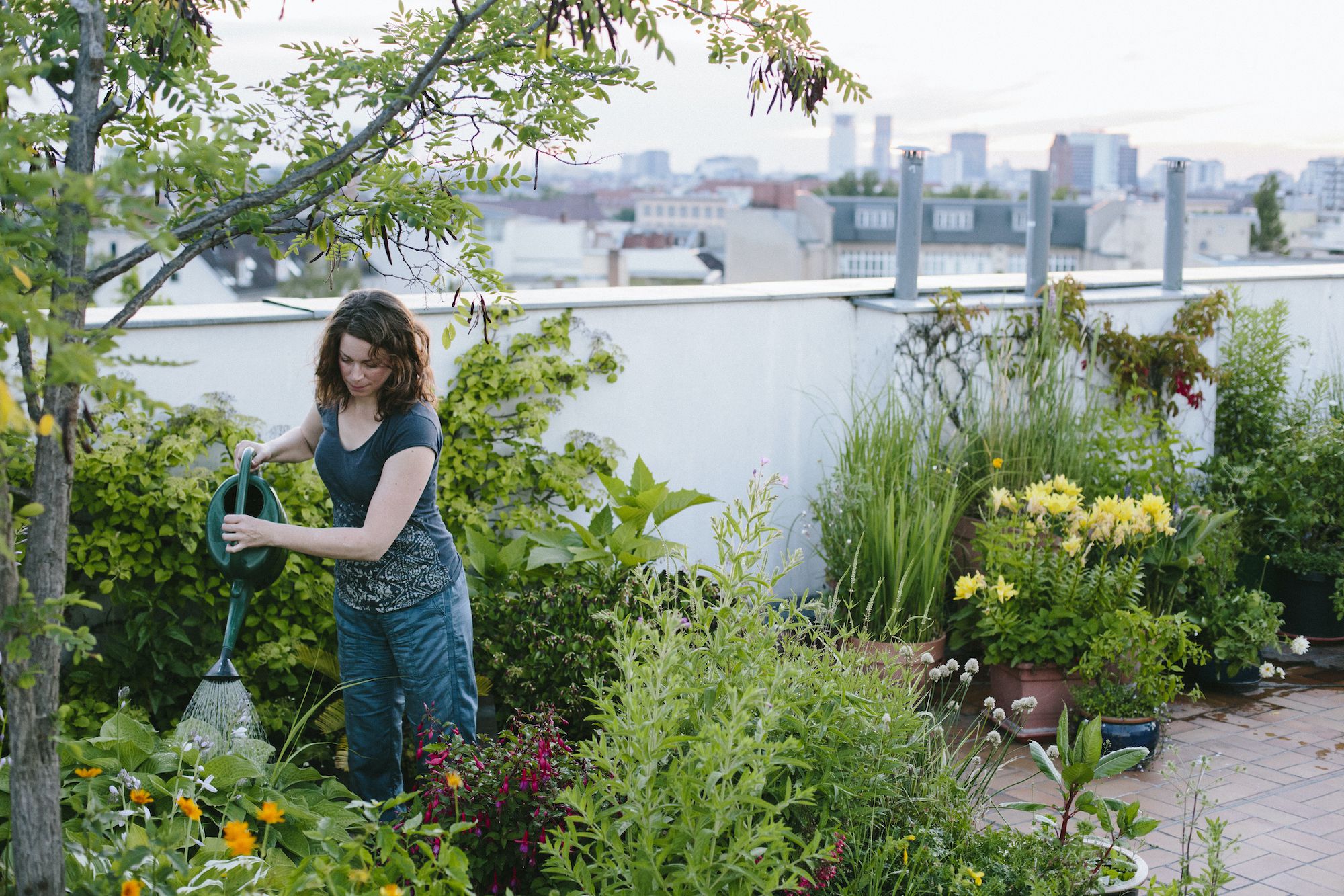 My Tips for Rooftop Garden Design