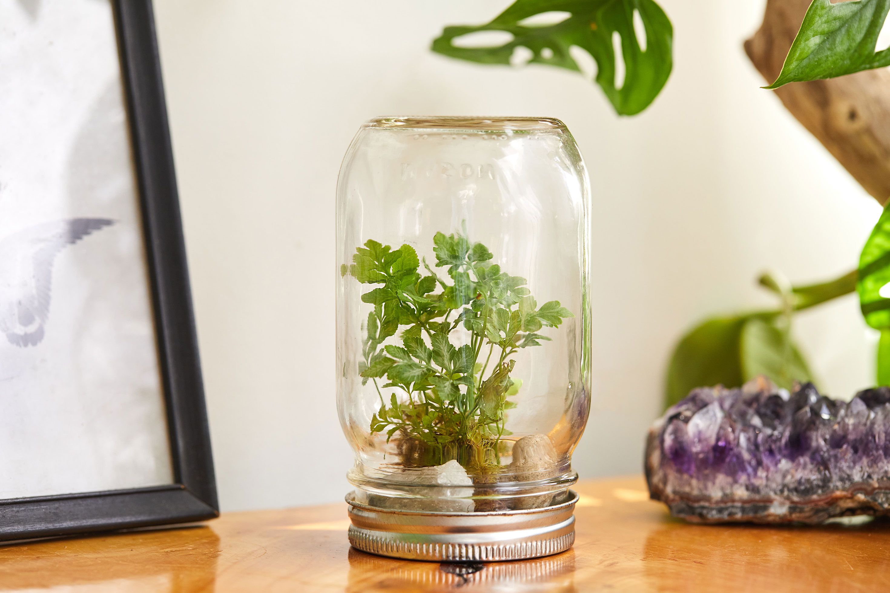 How to Make a Mason Jar Terrarium