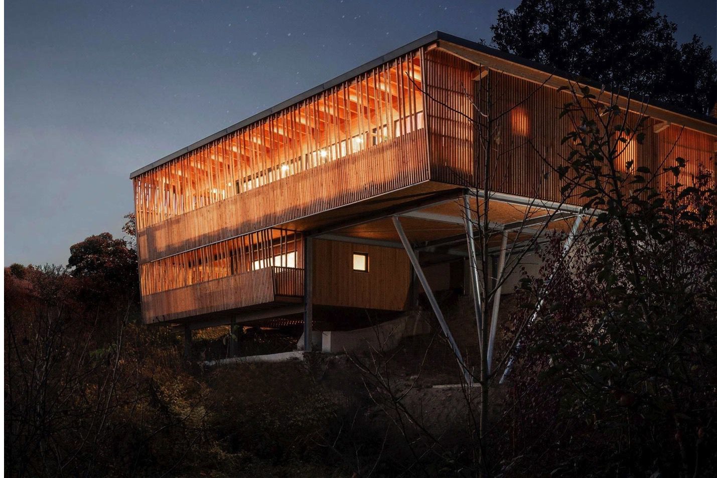 Ecological House Built on Stilts