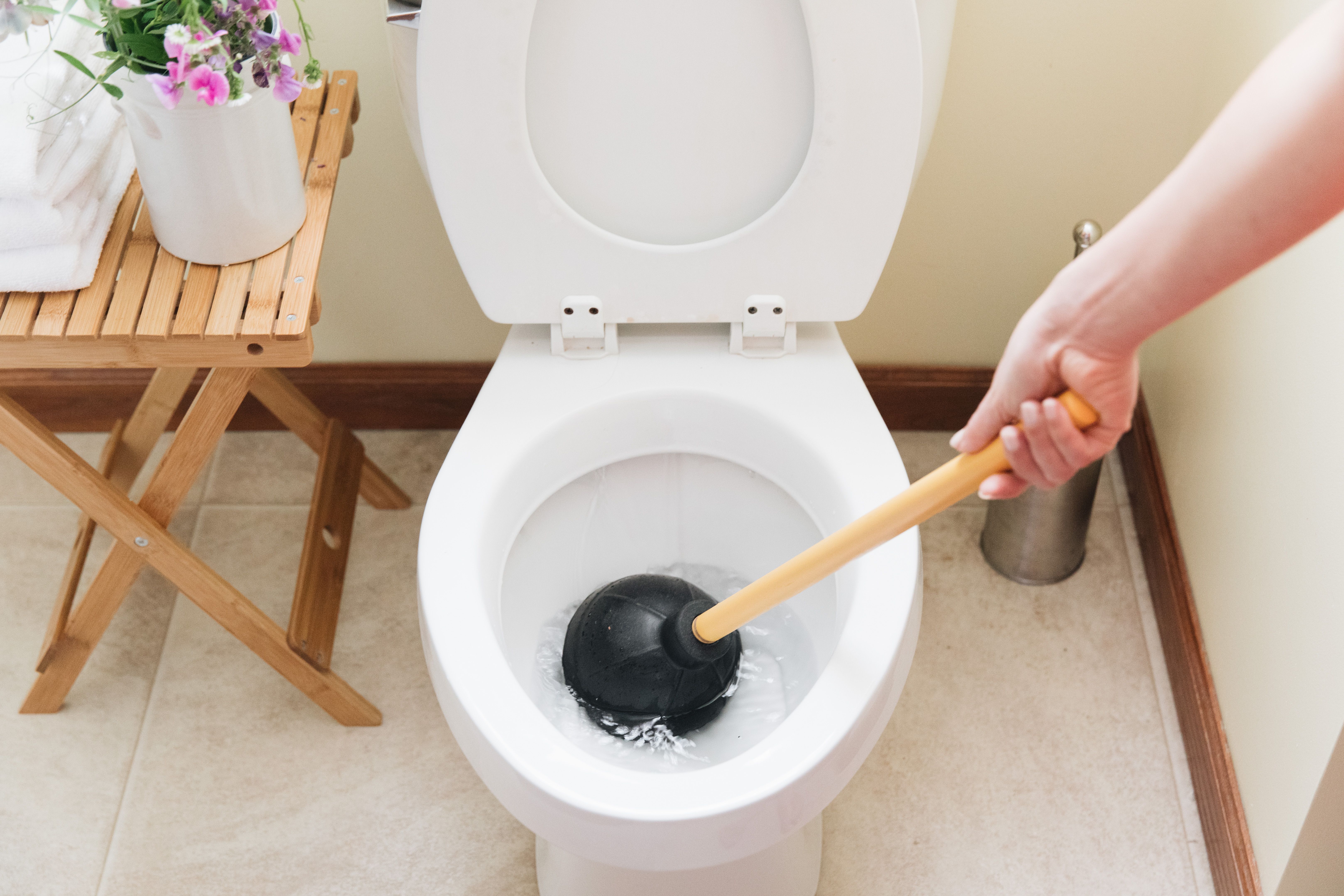 5 Reasons Toilets Get Clogged