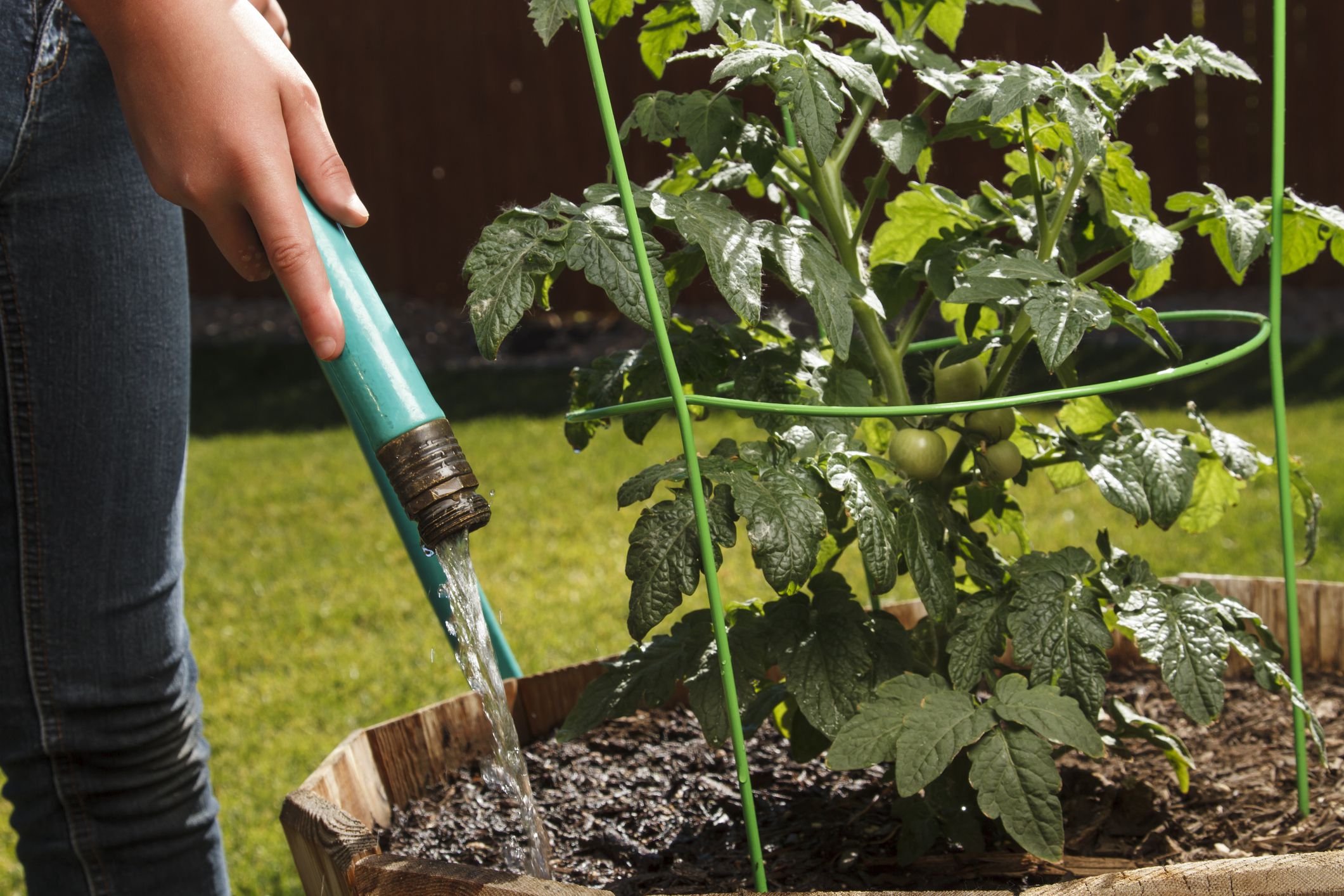 20 Essential Watering Tips You Need to Know