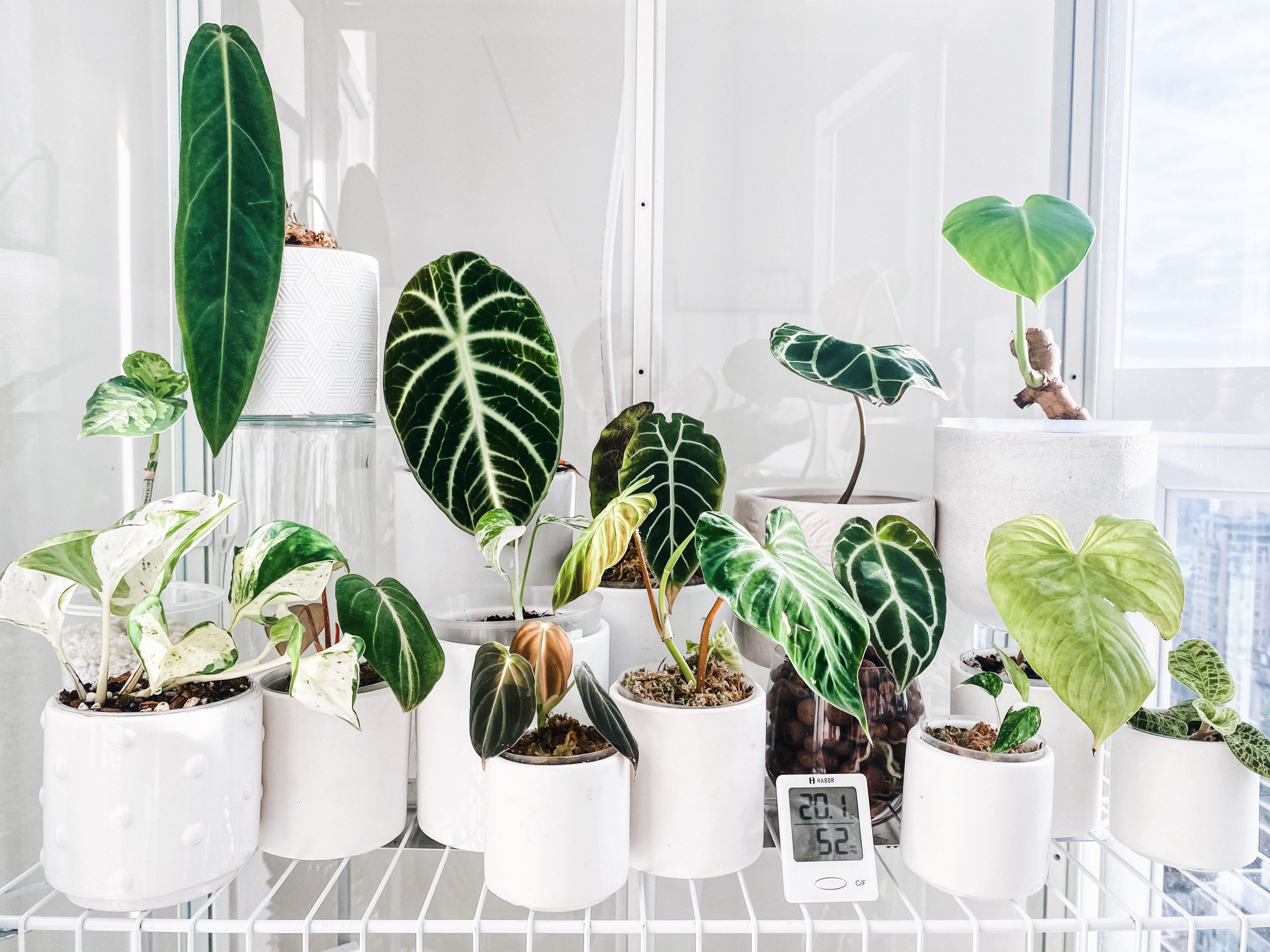 IKEA Greenhouse-Cabinet Hacks Are the Trend You Need to Know
