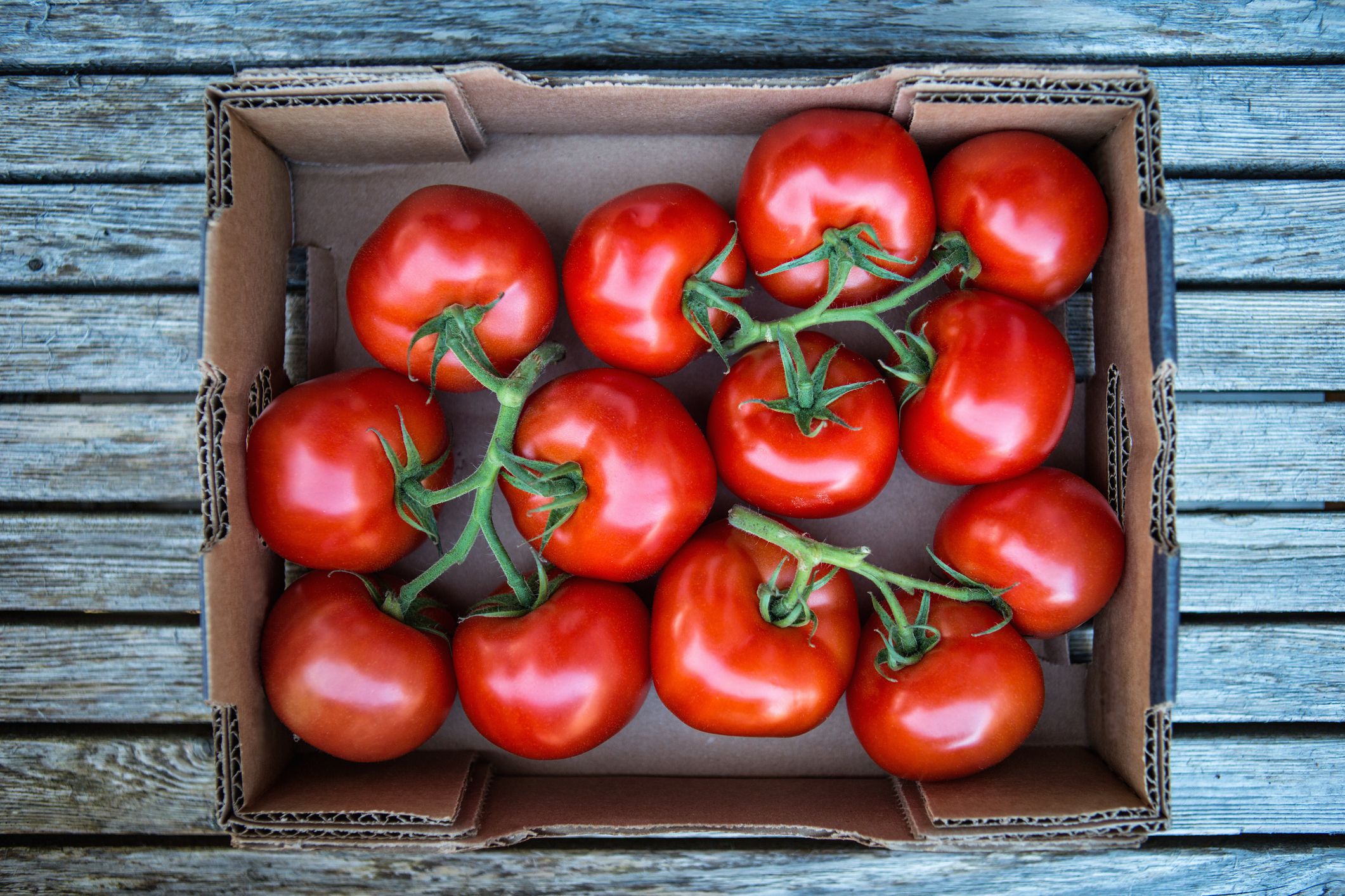 How to Preserve Your Ripe, Juicy Summer Tomatoes