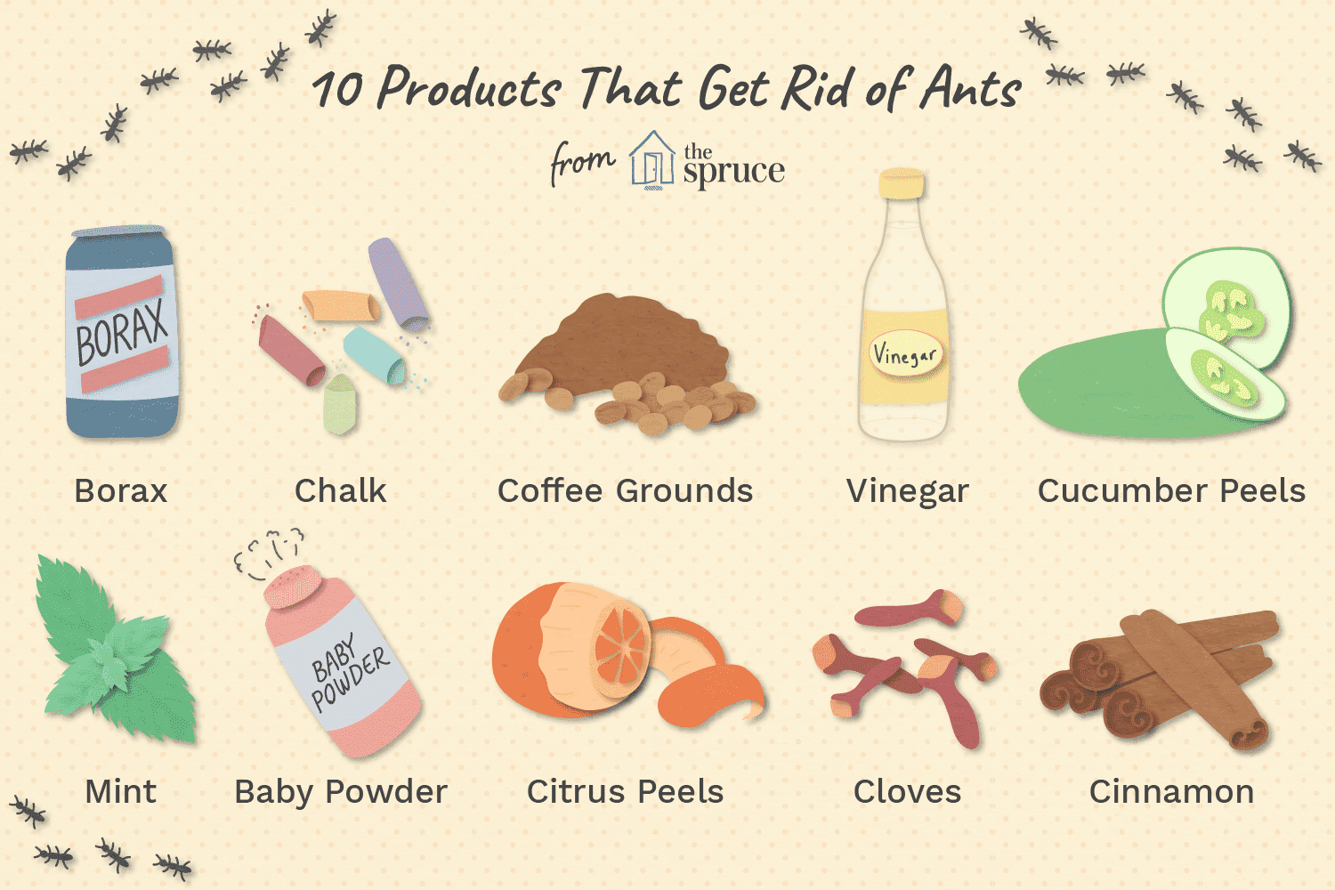 6 Cheap and Natural Remedies to Get Rid of Ants