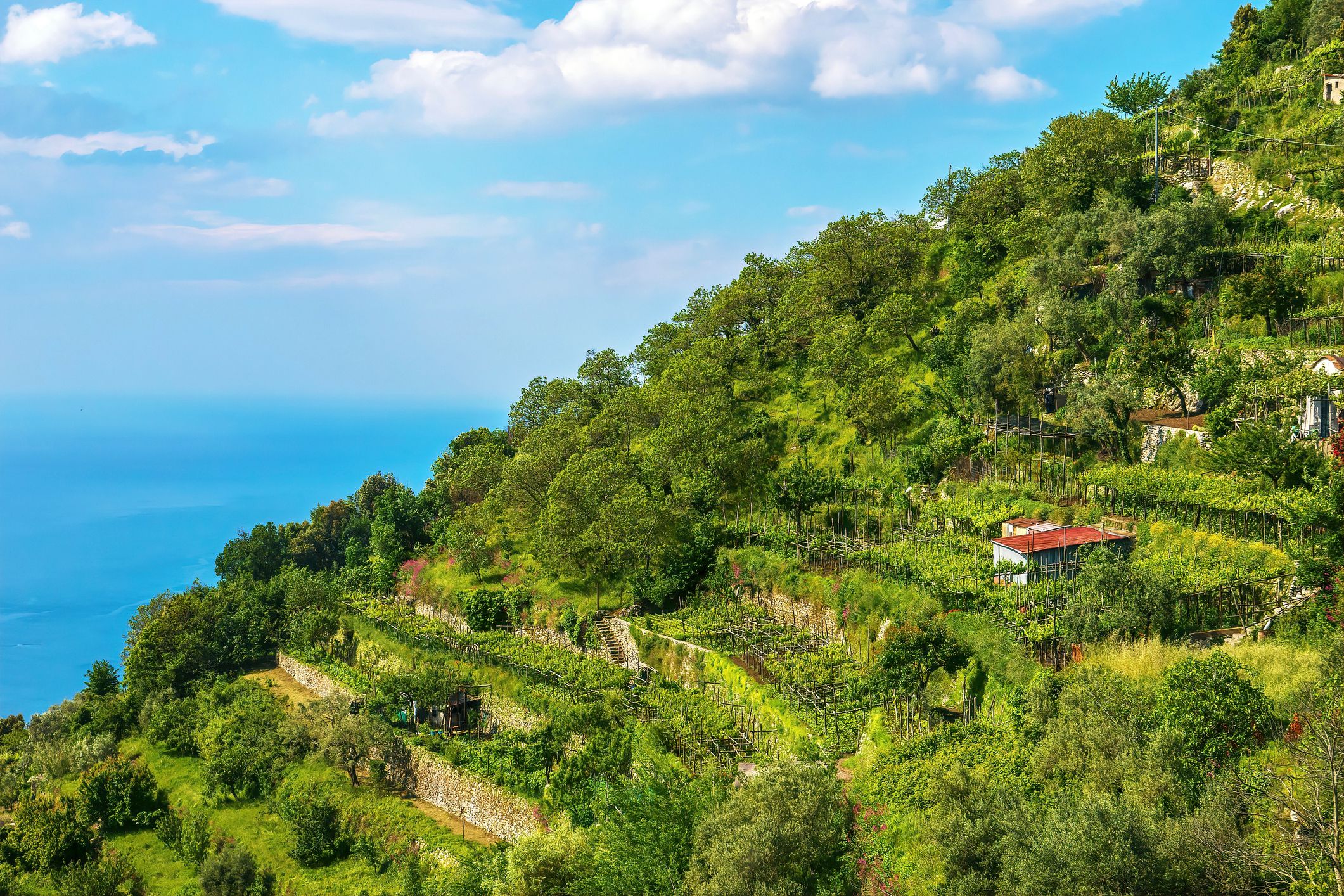 Bold Ideas for a Steeply Sloping Garden