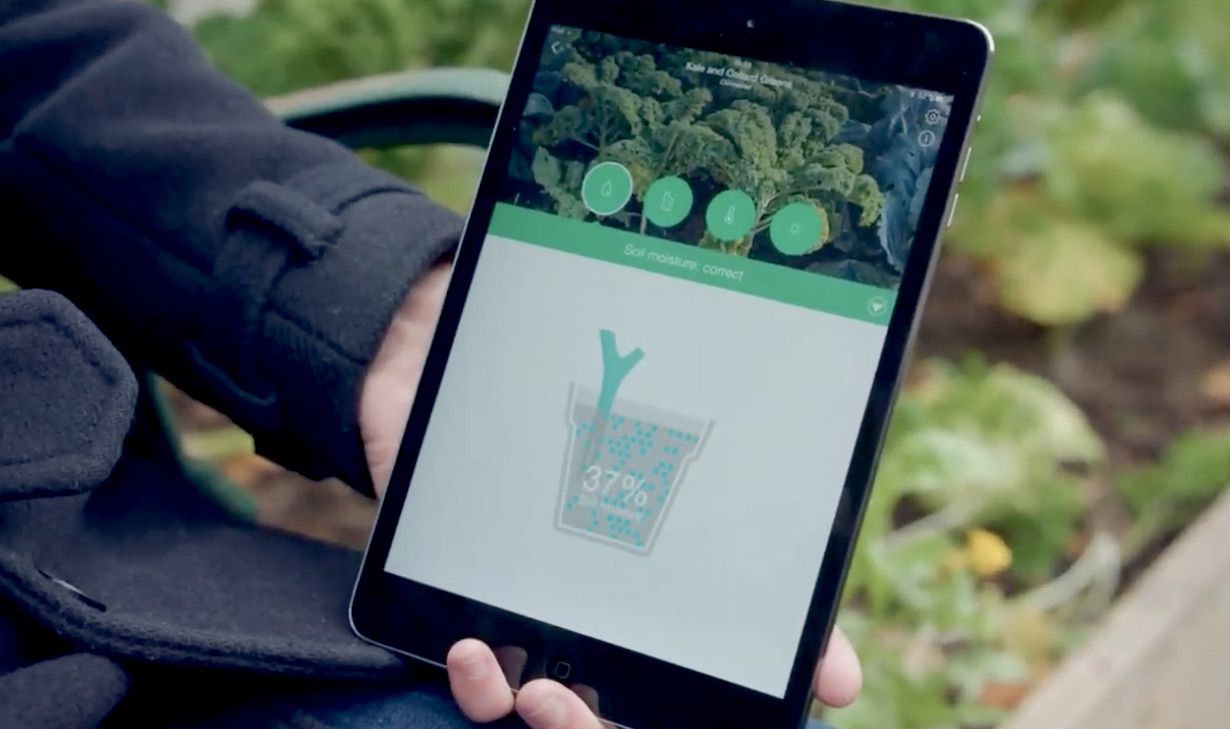 Using Data and Citizen Science for Gardening Success