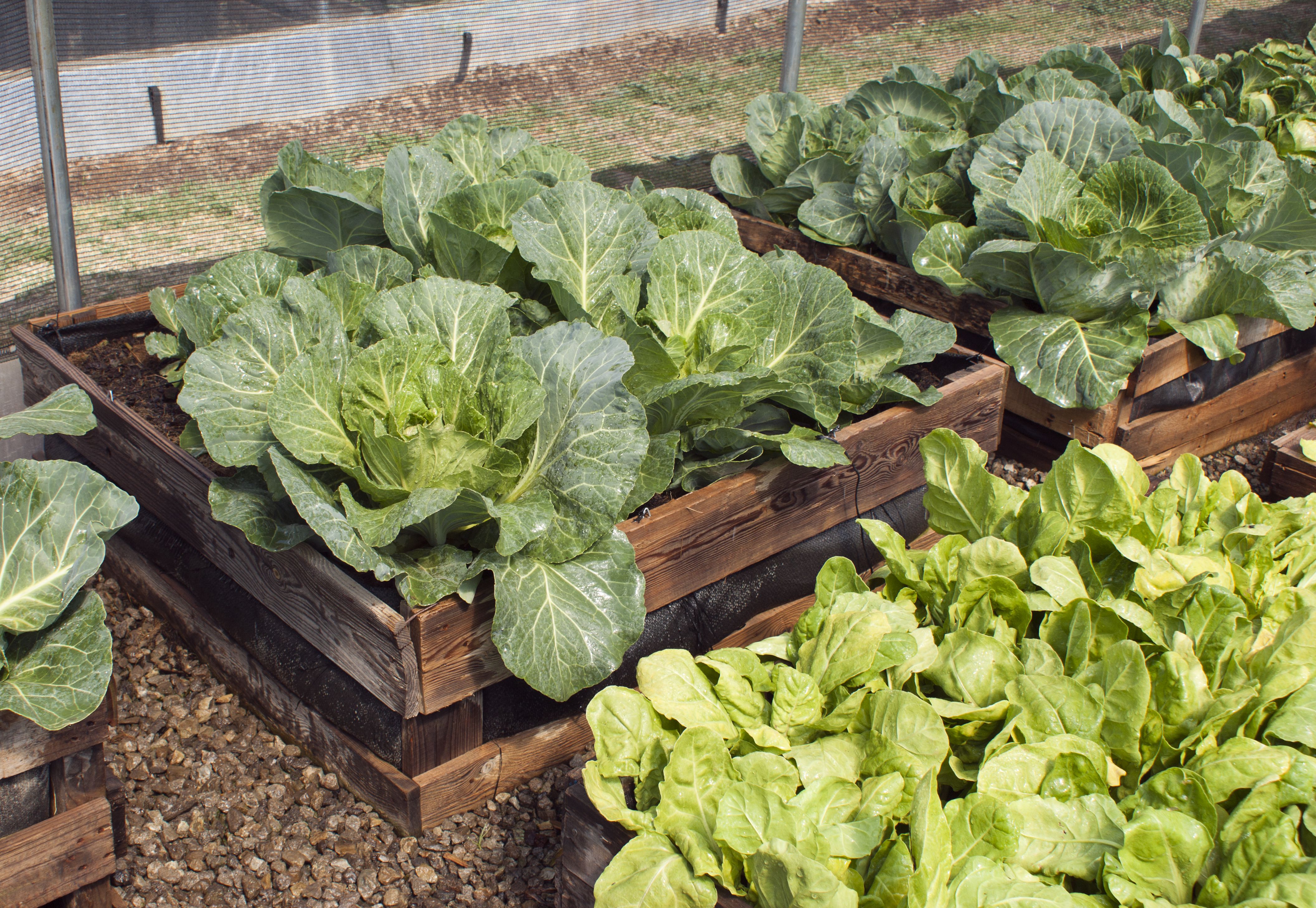 5 Inspiring Examples of Zero Waste Gardening