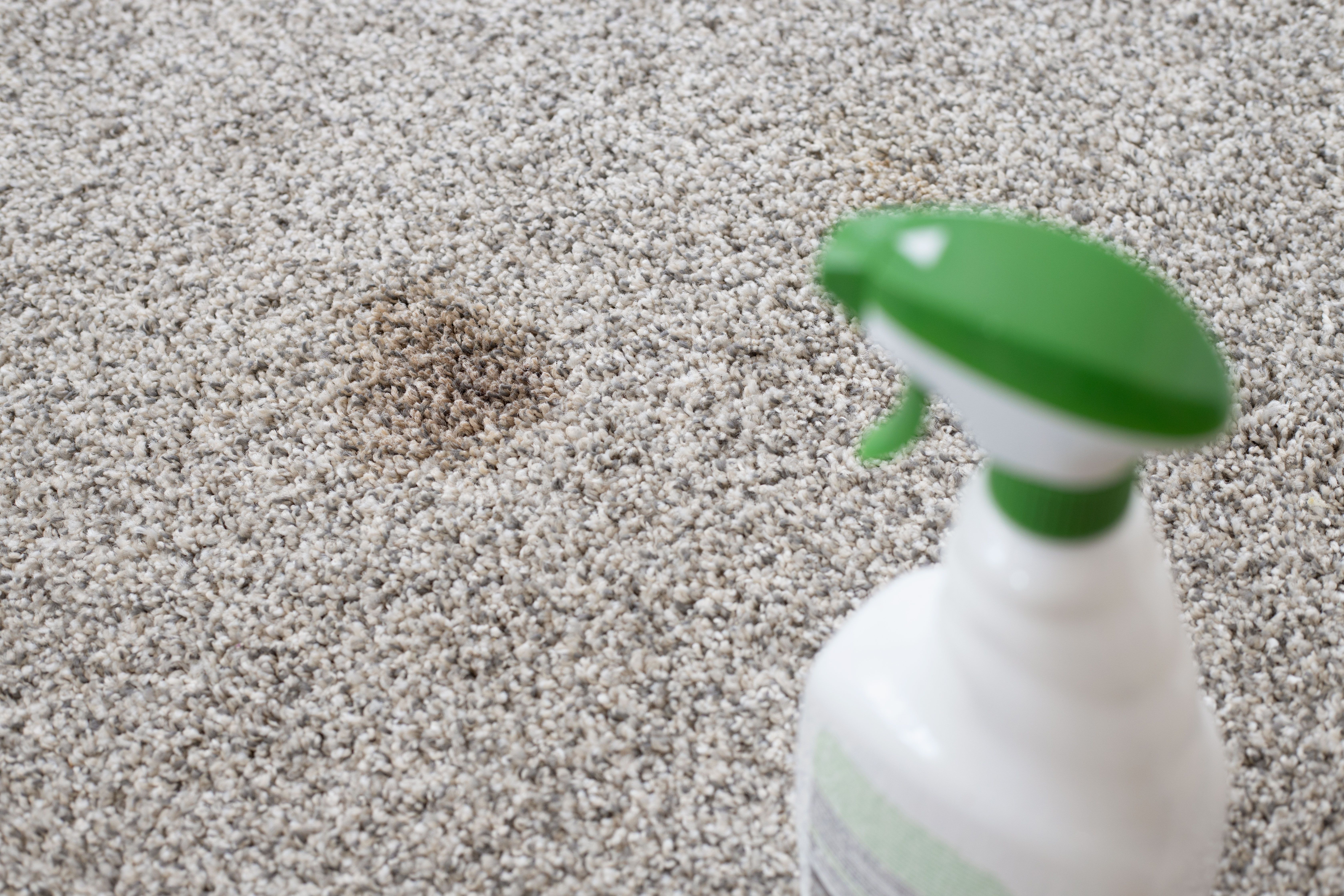 Common Causes of Reappearing Carpet Stains