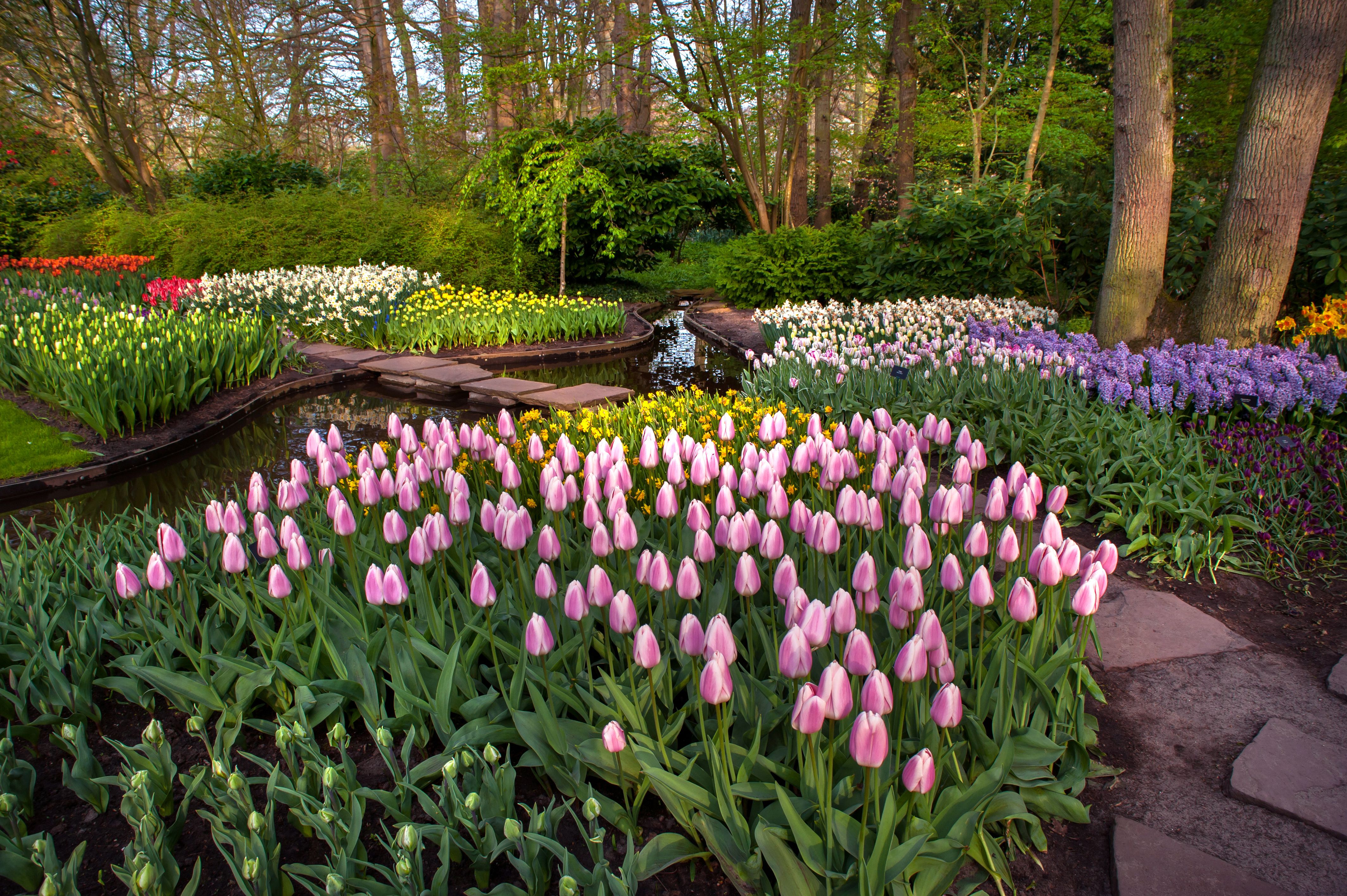 6 Tips for a Better Spring Flower Garden