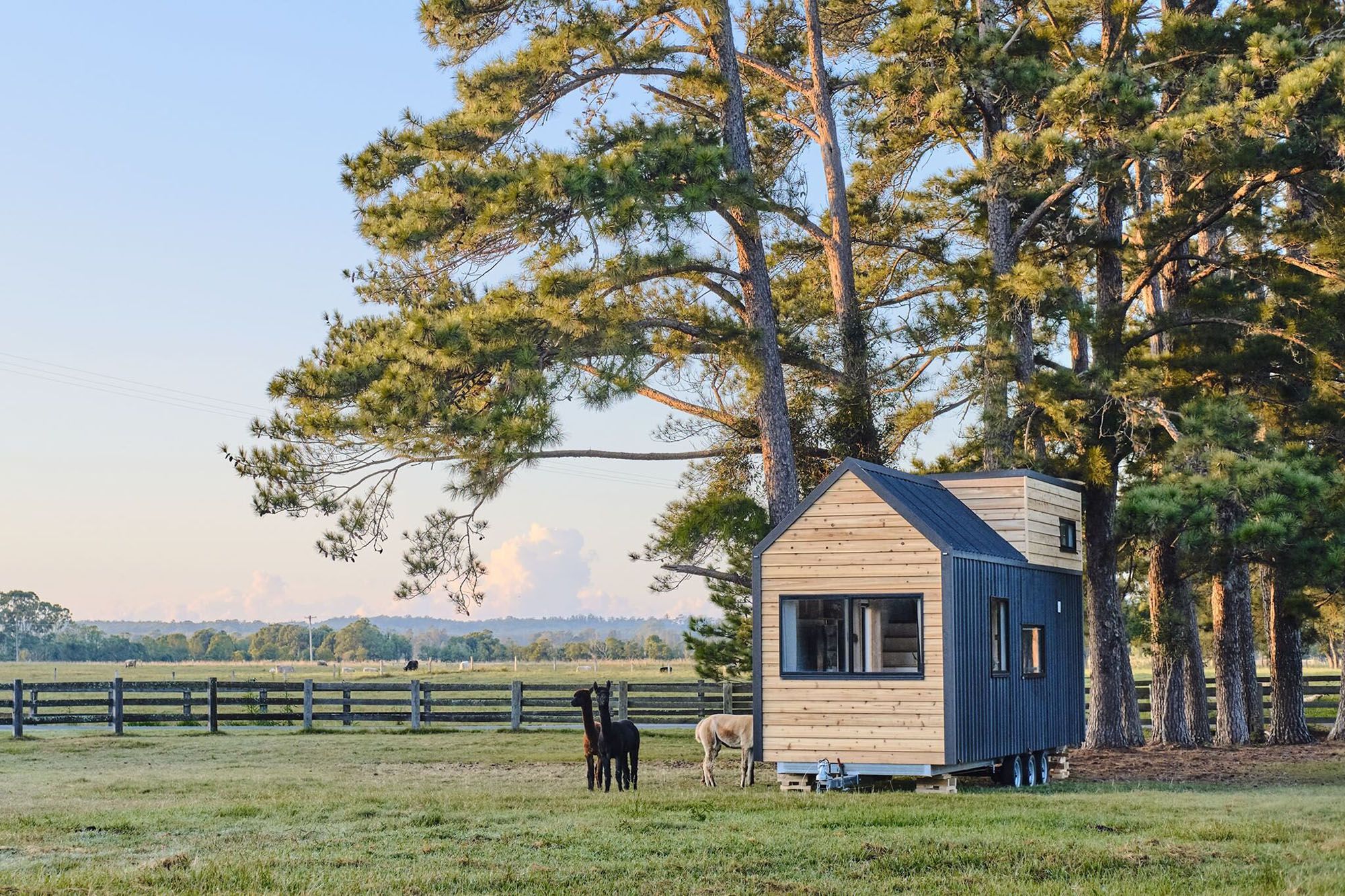 This Tiny House Lets You Choose