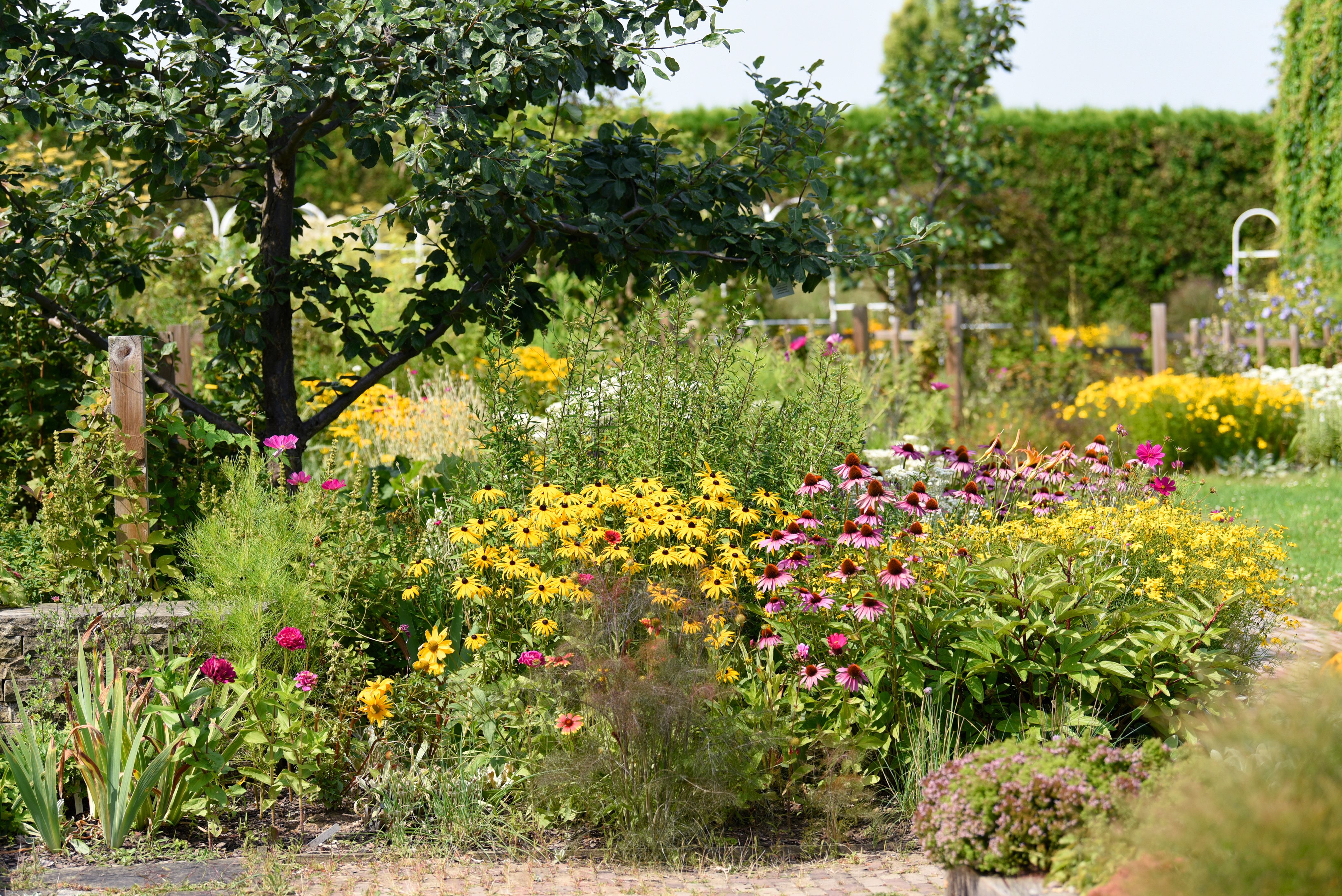 6 Tips for Growing a Successful Flower Garden