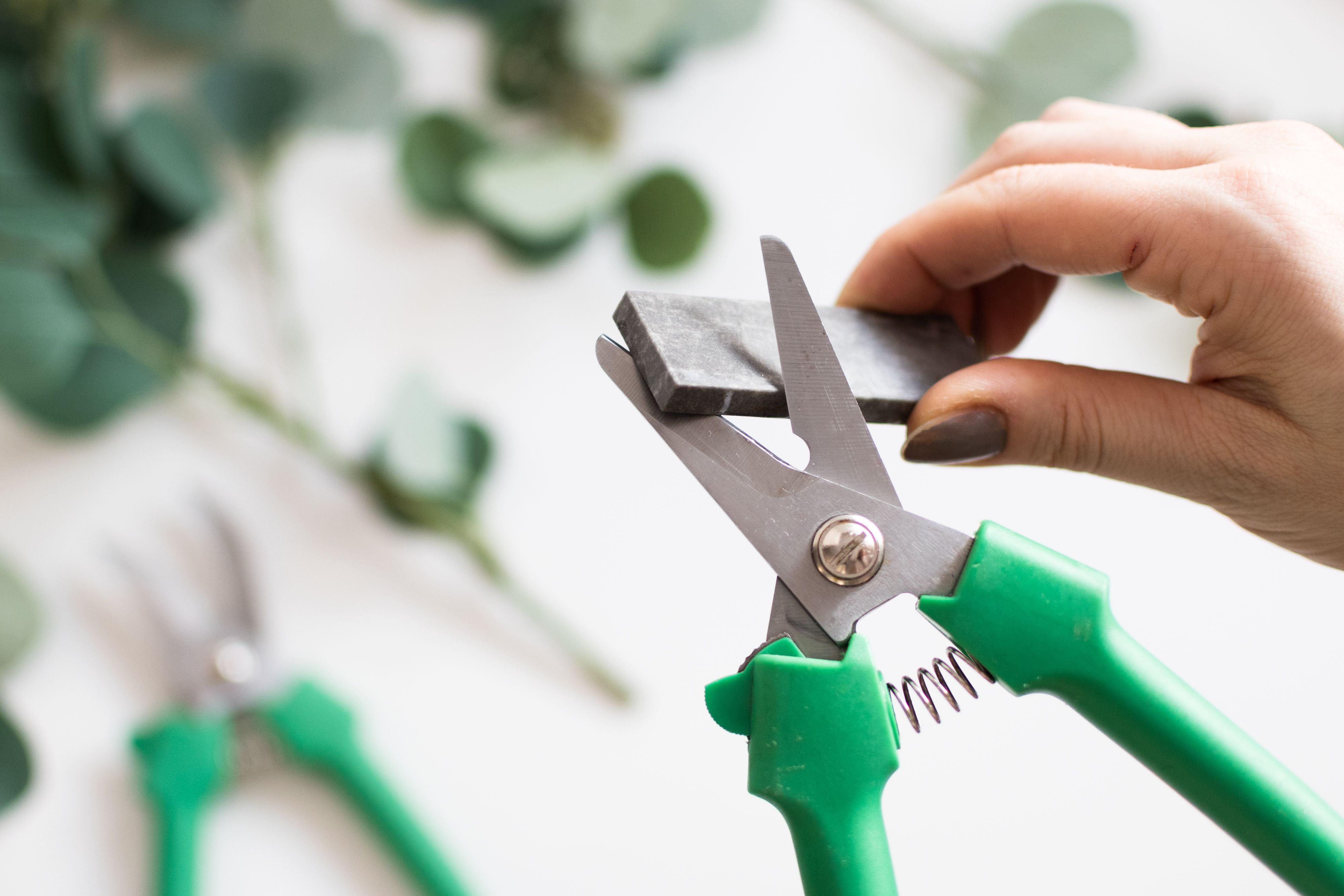 How to Clean and Sharpen Hand Pruners