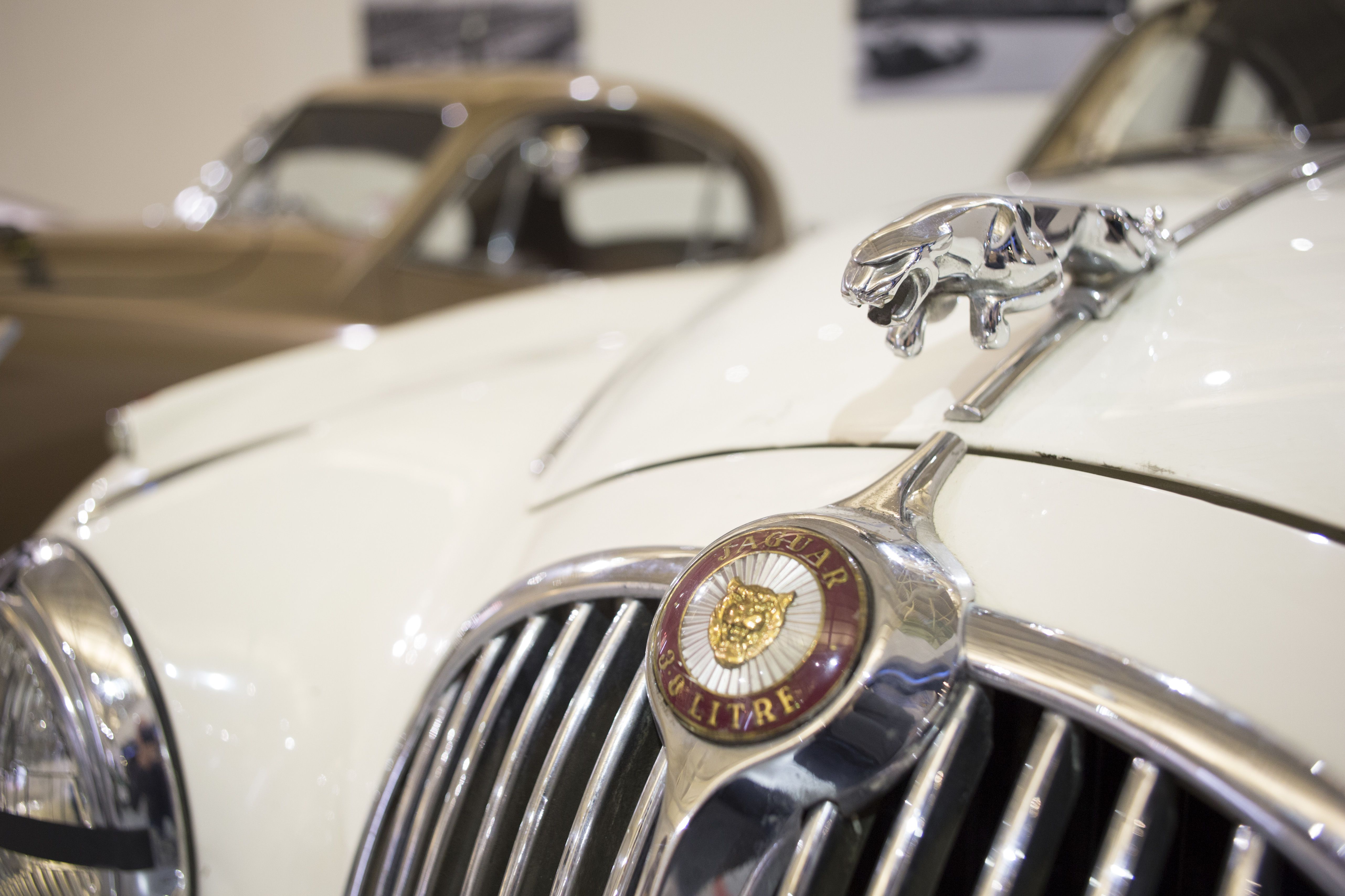 Jaguar to Go All-Electric by 2025 