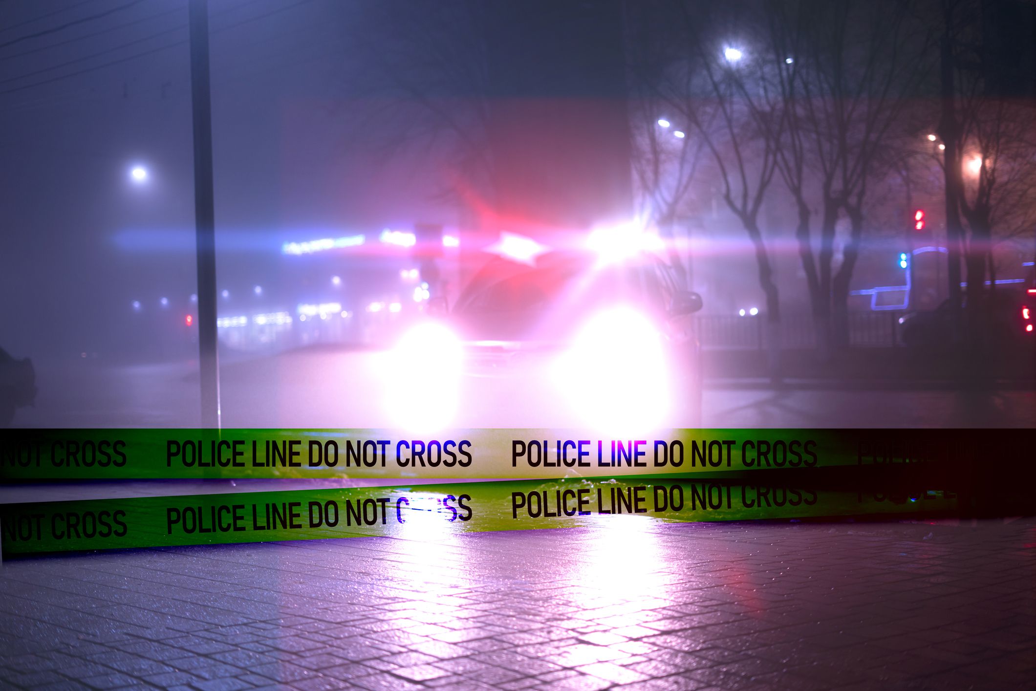 People Drove Less During the Pandemic