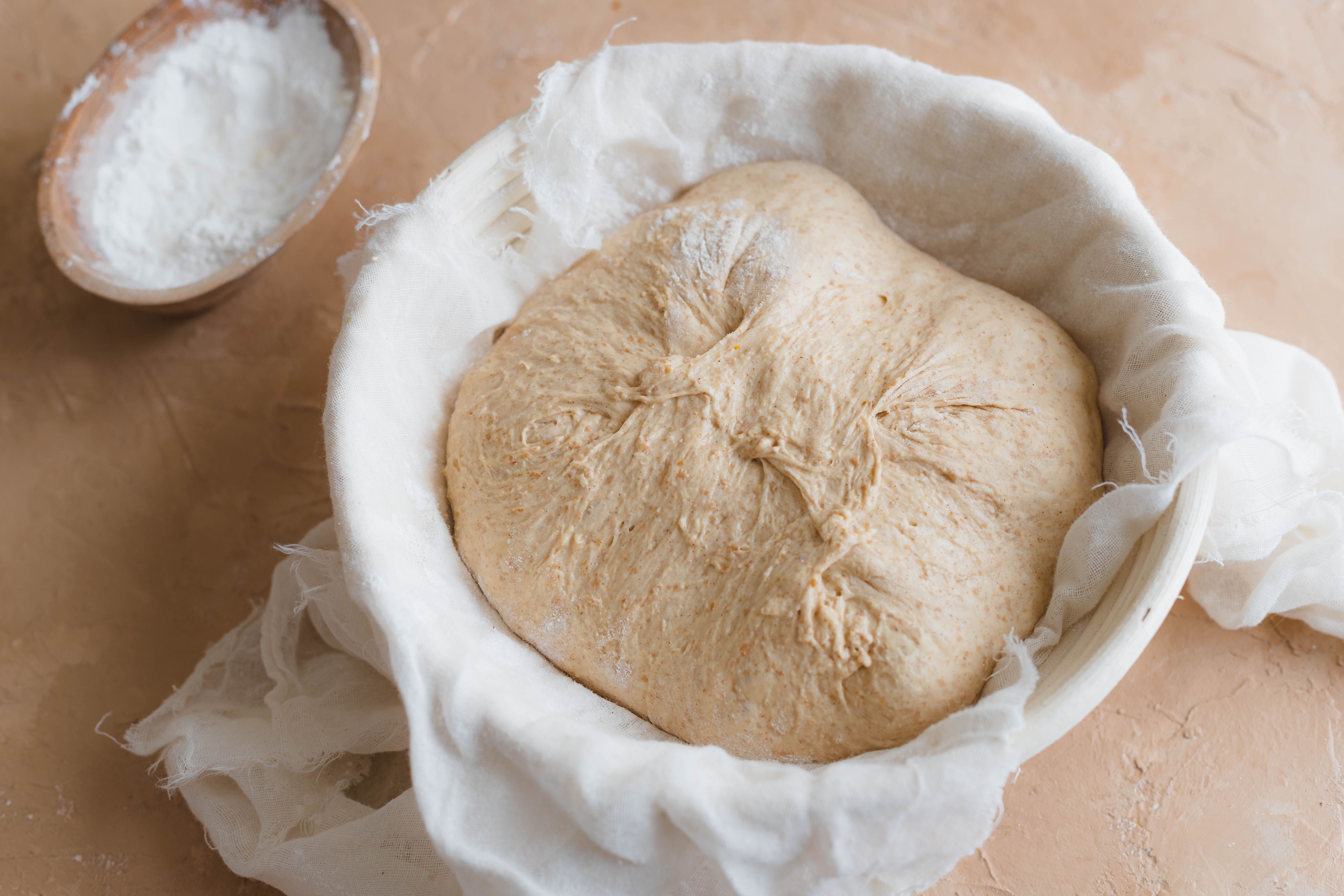 How a Clever Cook Proofs Dough Quickly