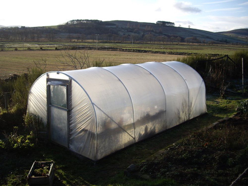 How I Maximize the Space in My Growing Tunnel