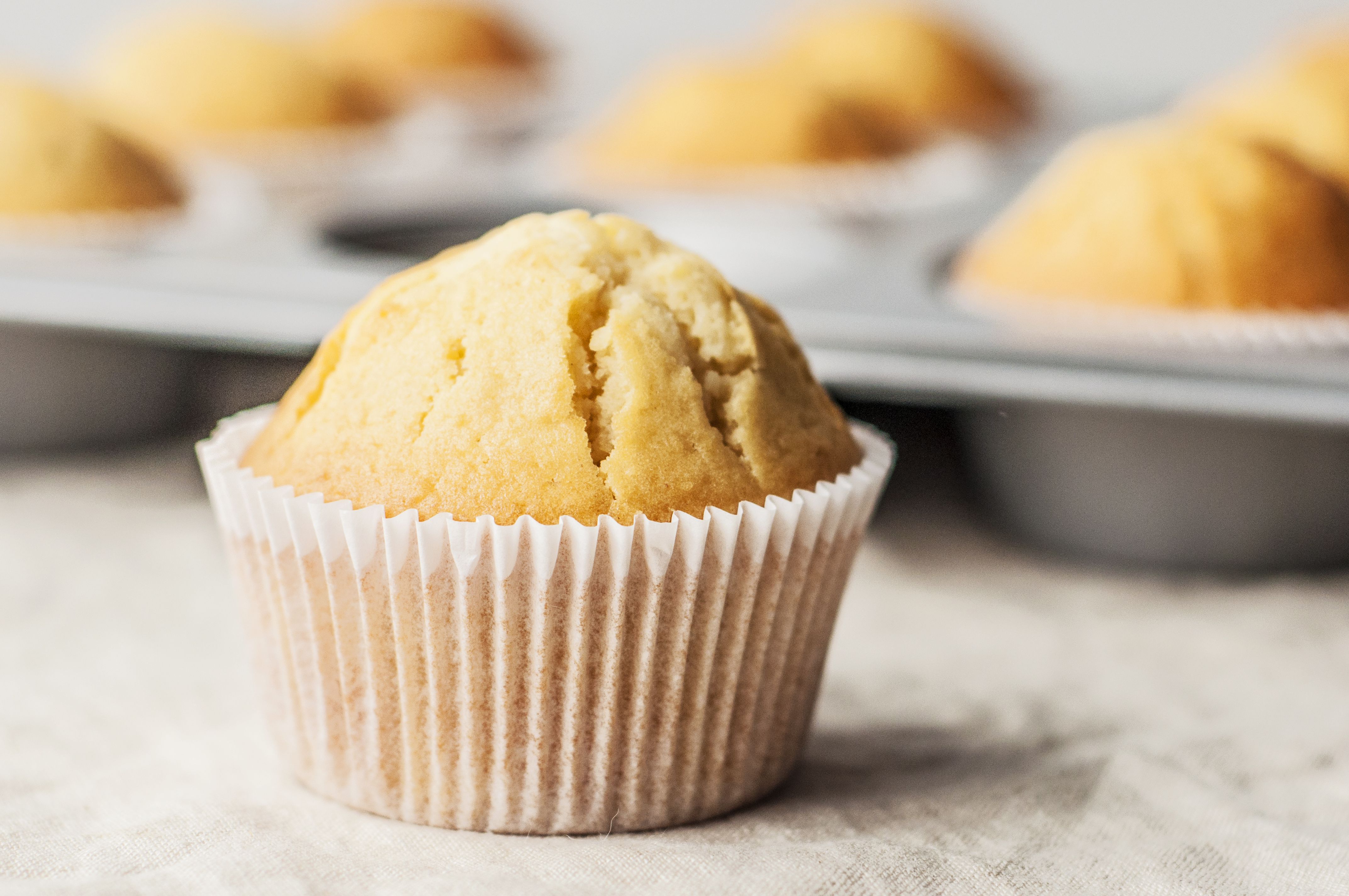 Muffin Recipes