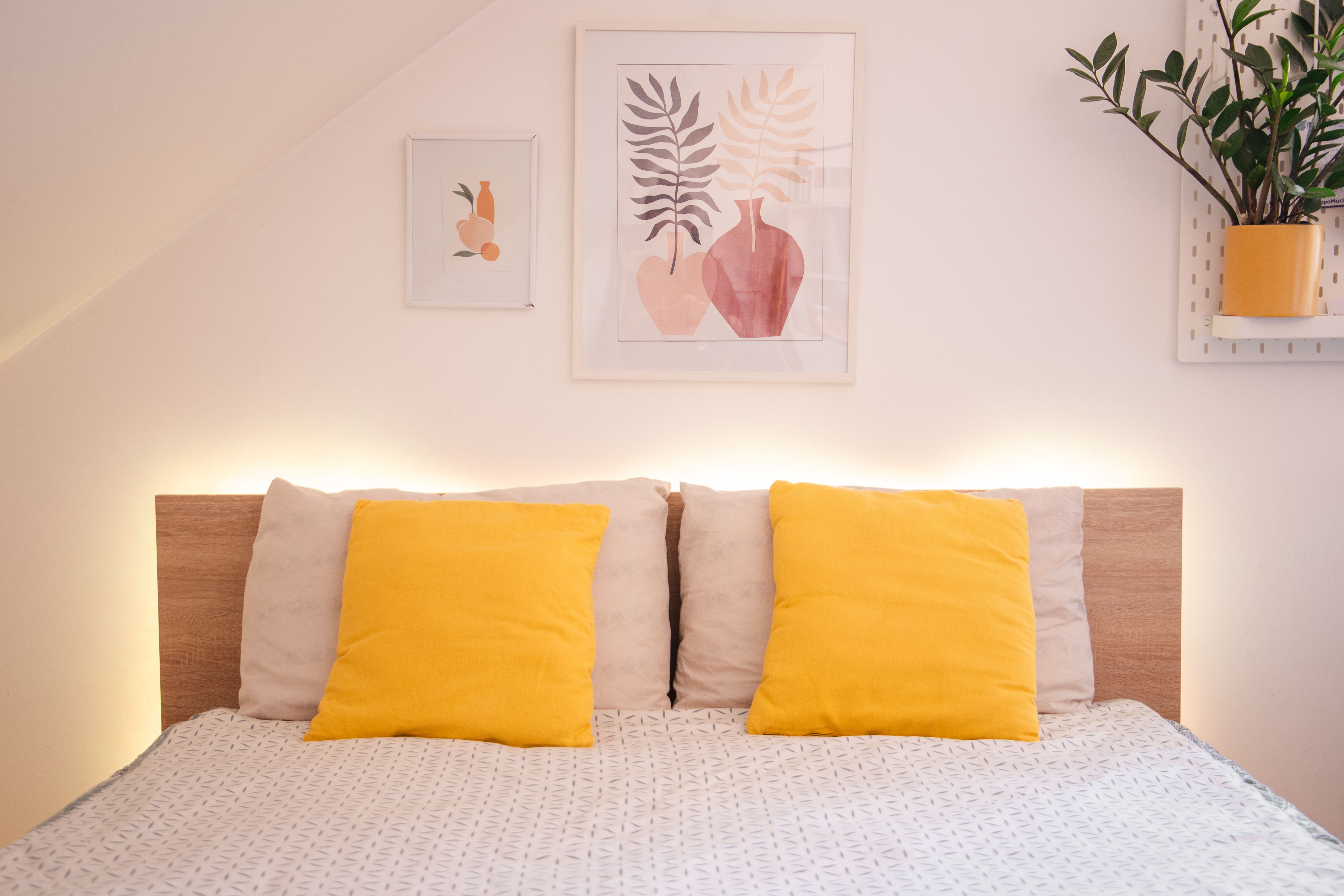 Everything You Need to Know About Ambient Light and How to Use It at Home