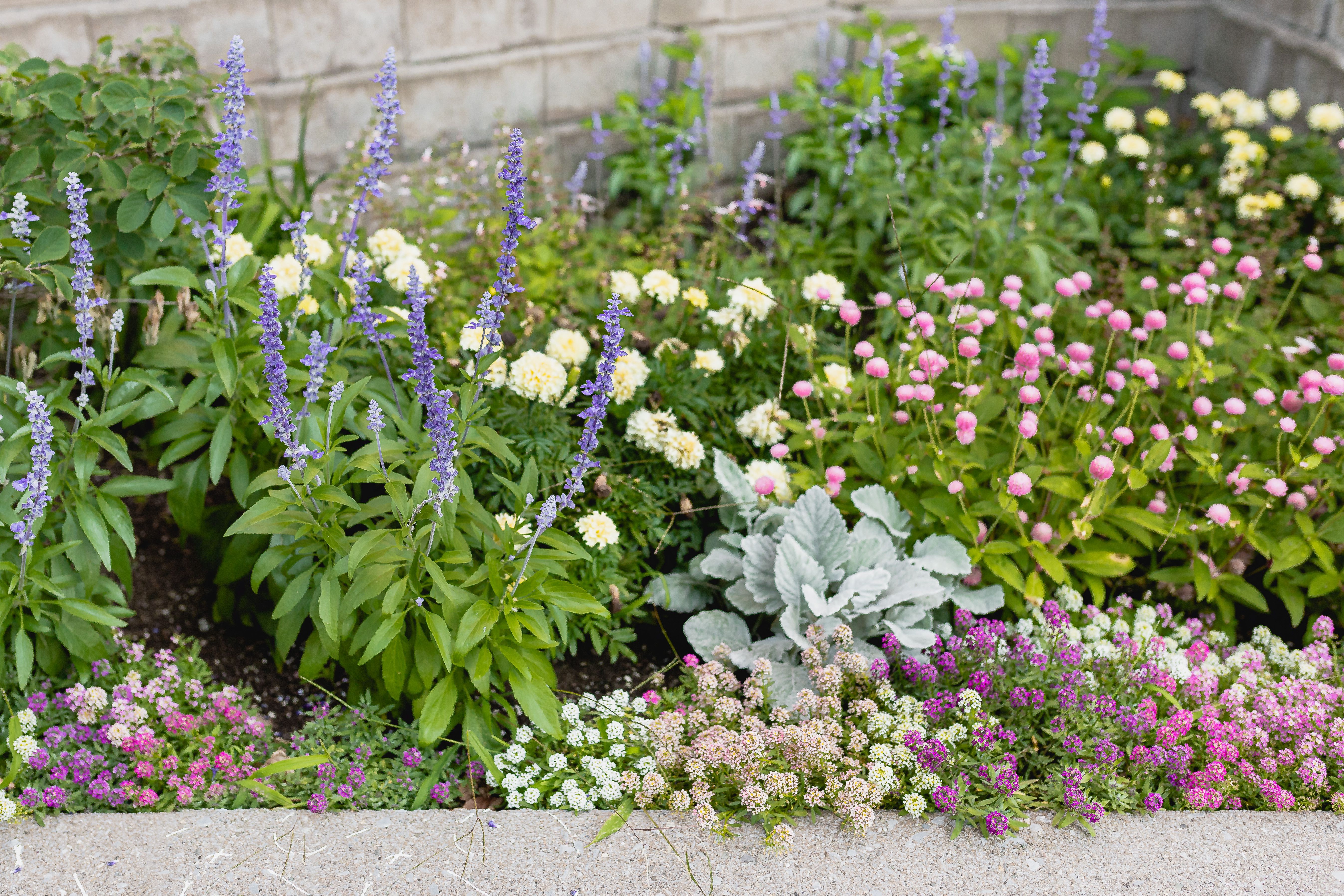 11 Free Garden Planners to Use This Spring
