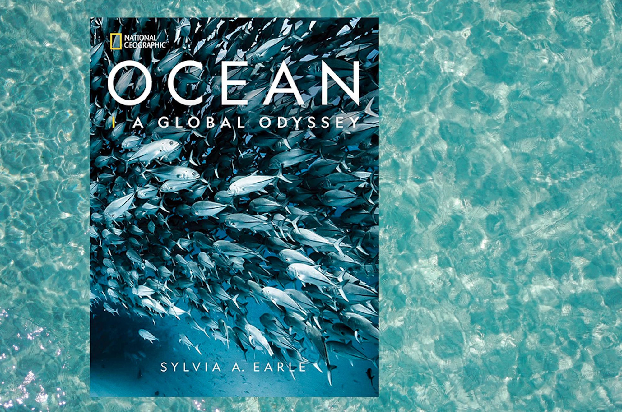 Ocean: A Global Odyssey