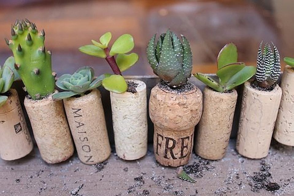 12 Genius (and Basically Free) Container Garden Ideas