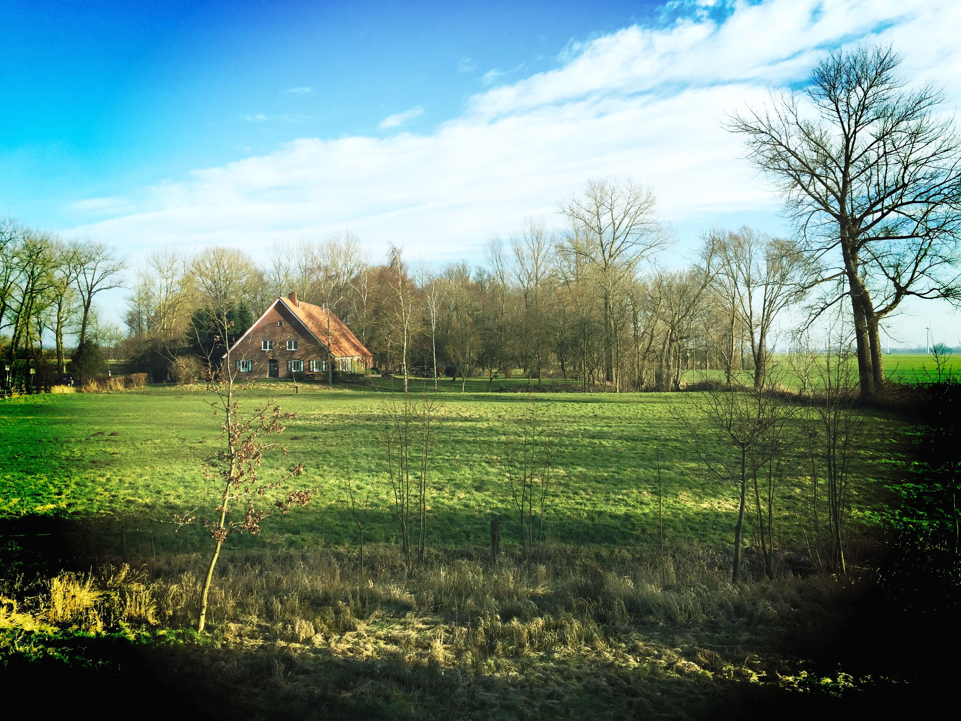 What to Consider When Choosing a Homestead