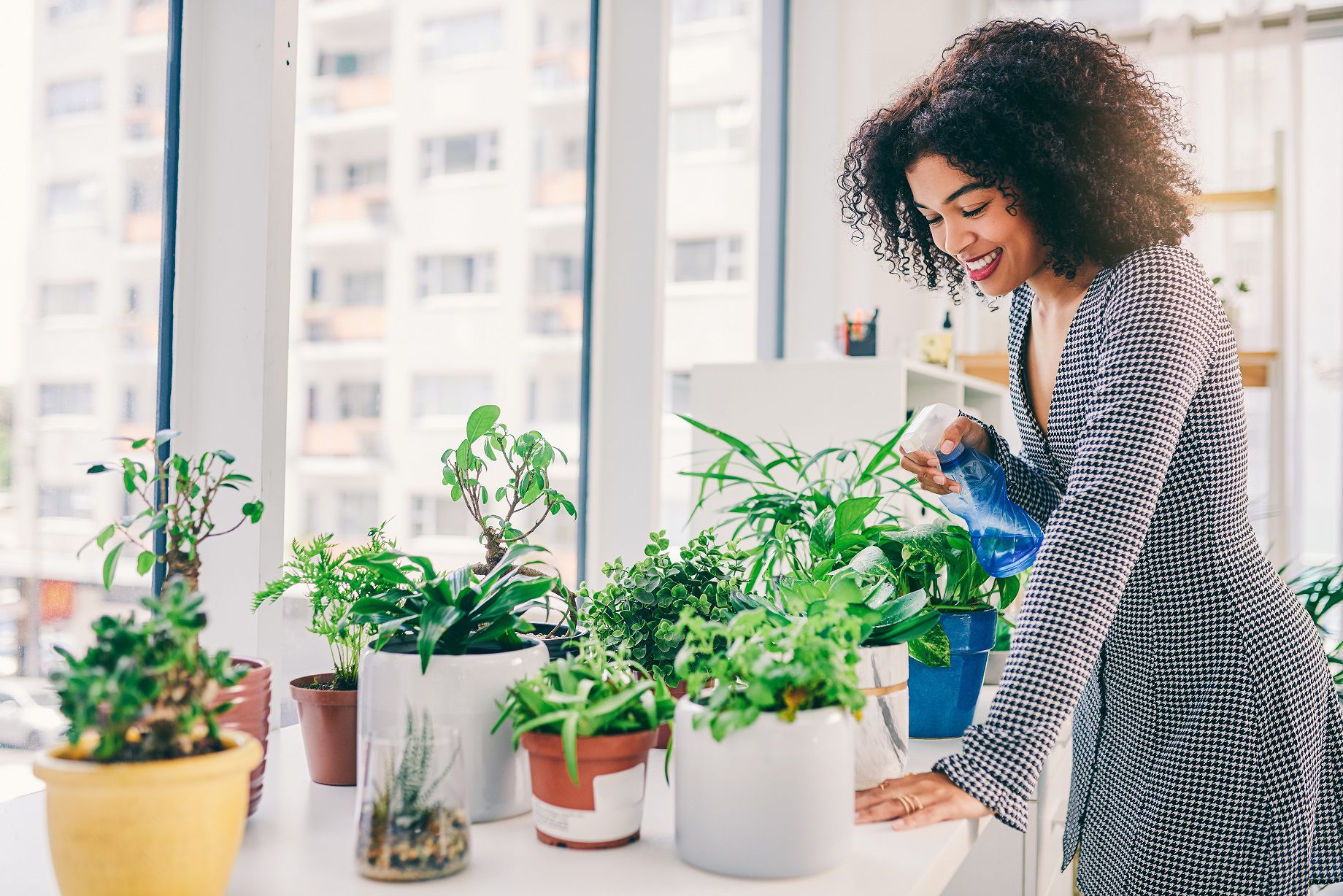 Does Plant Misting Work? What the Plant Pros Say