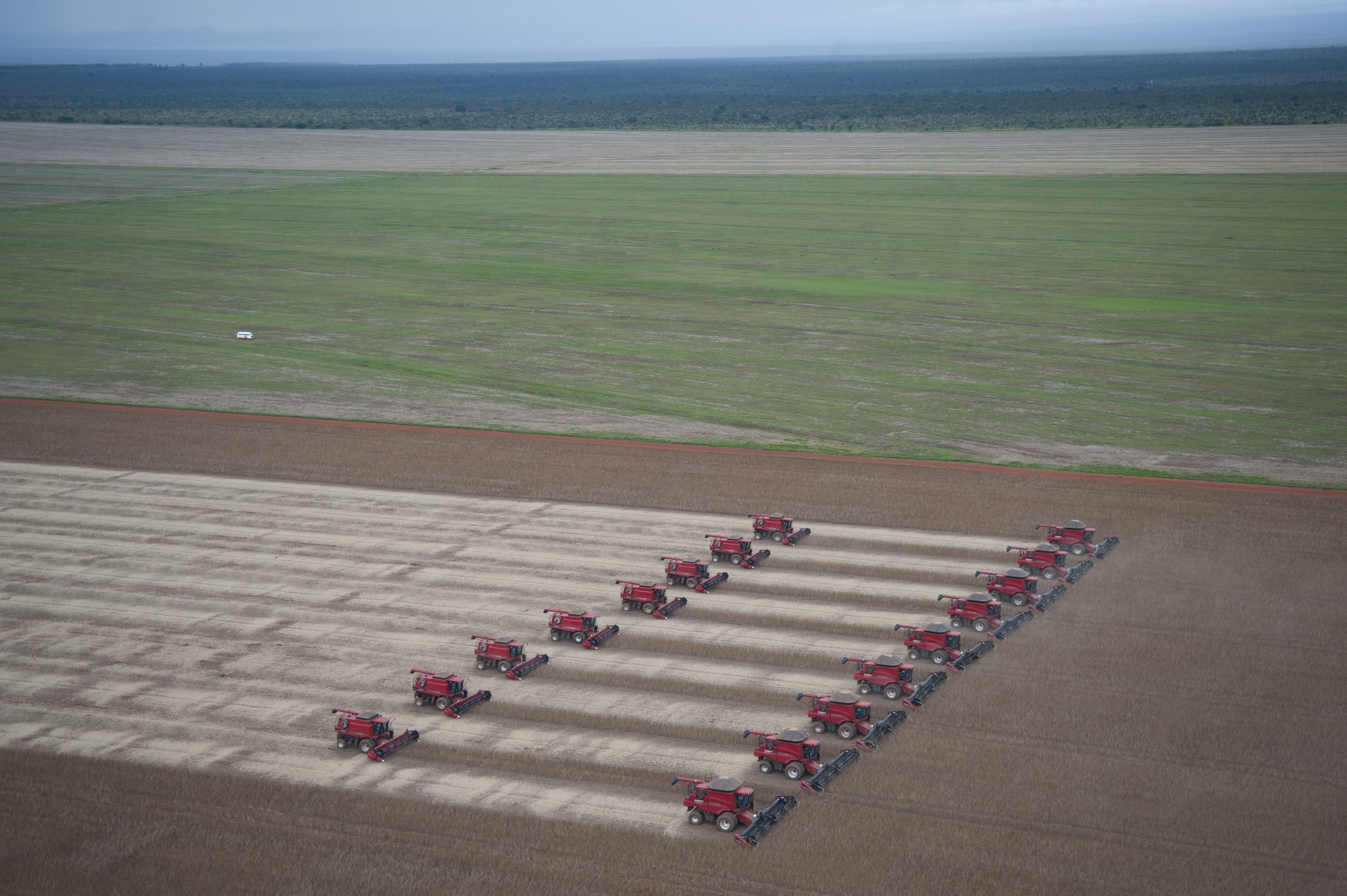 Are Soybeans Driving Deforestation?