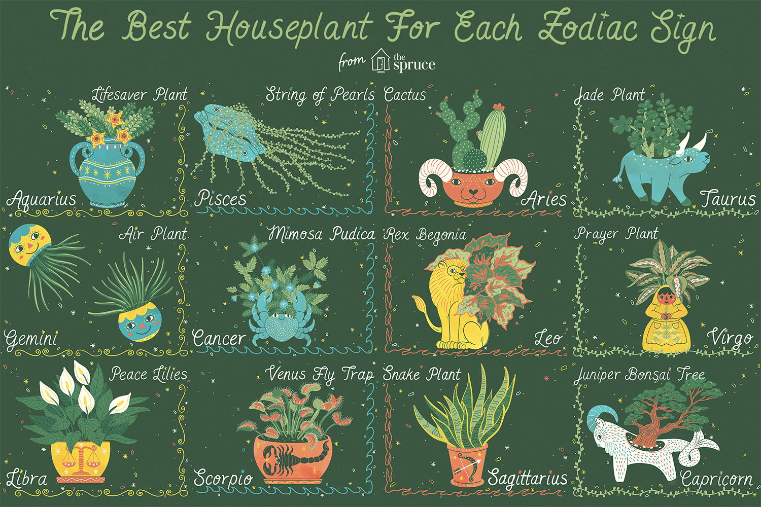 The Best Houseplant for You, Based on Your Zodiac Sign