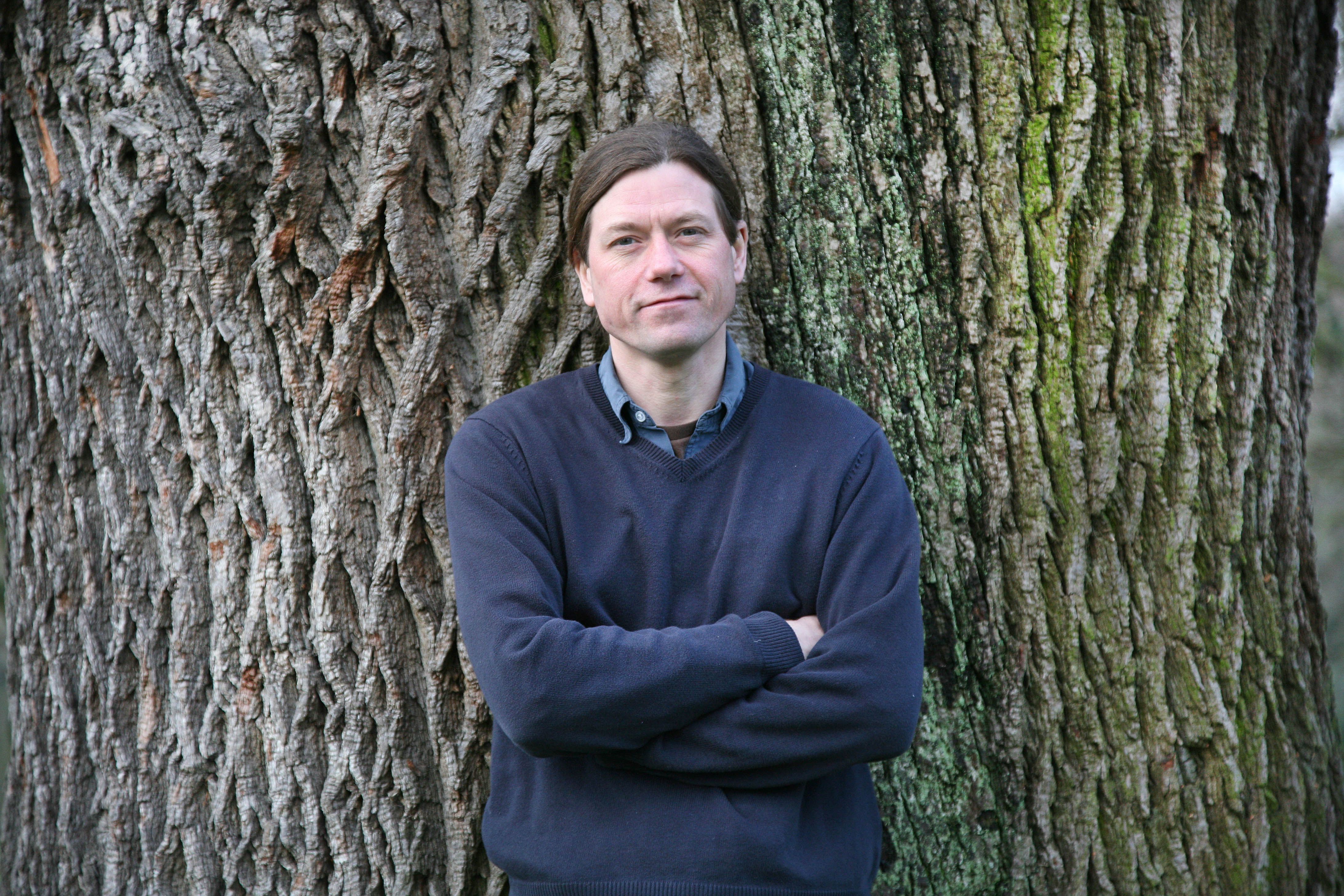 Professor Spends 2 Years Sitting with an Ancient Oak