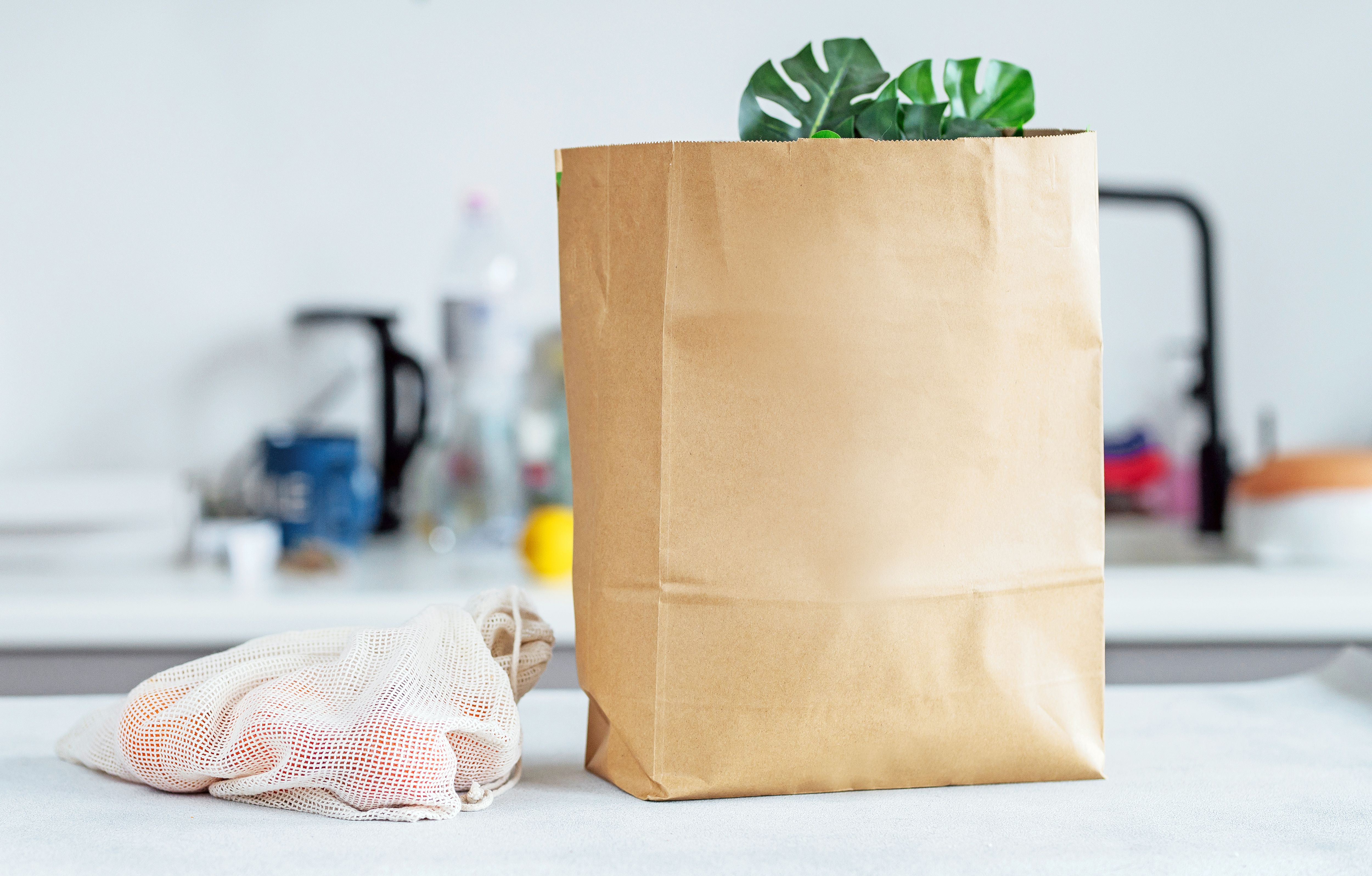 How to Fold Grocery Bags for Storage