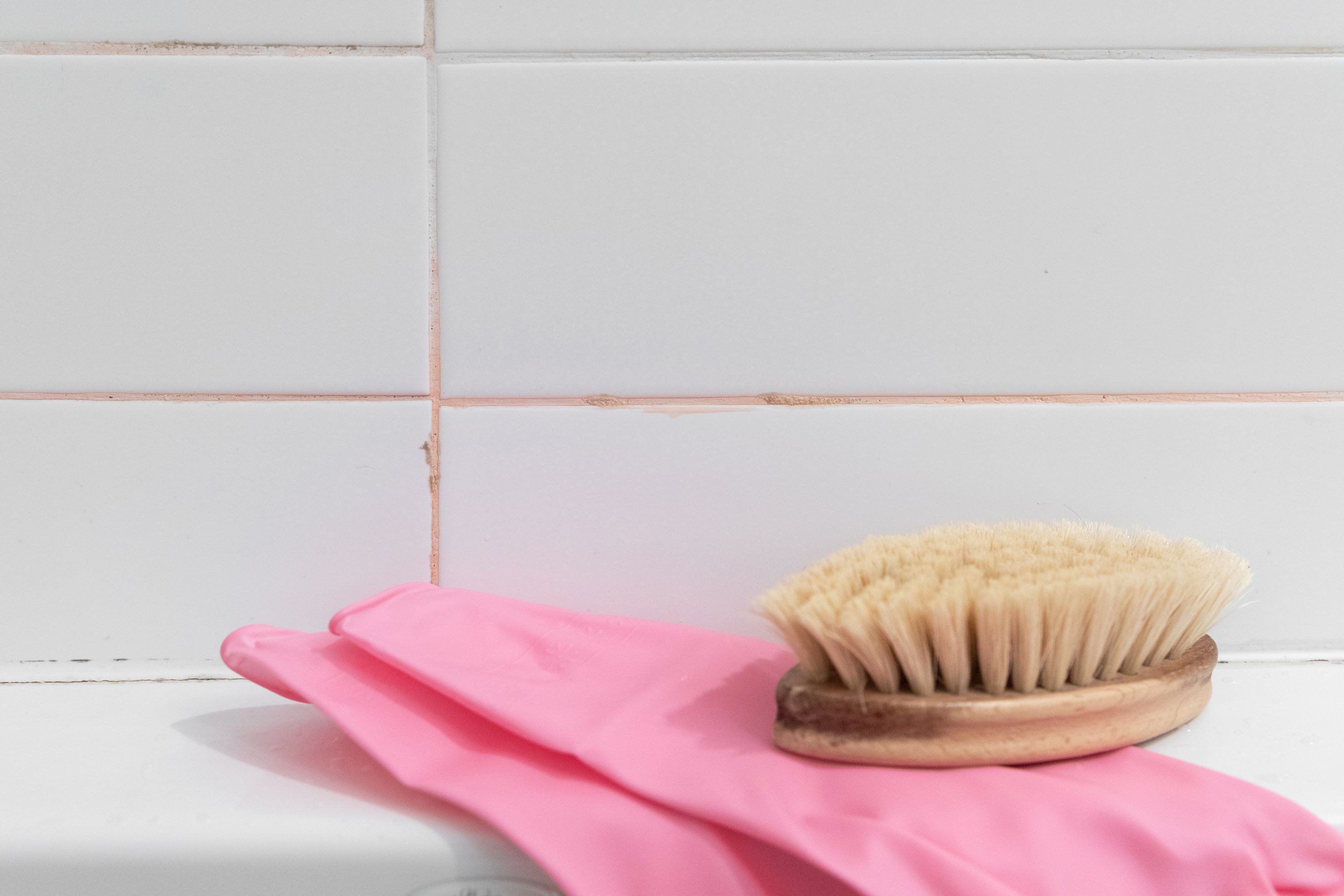 Everything You Need to Know About Pink Mold