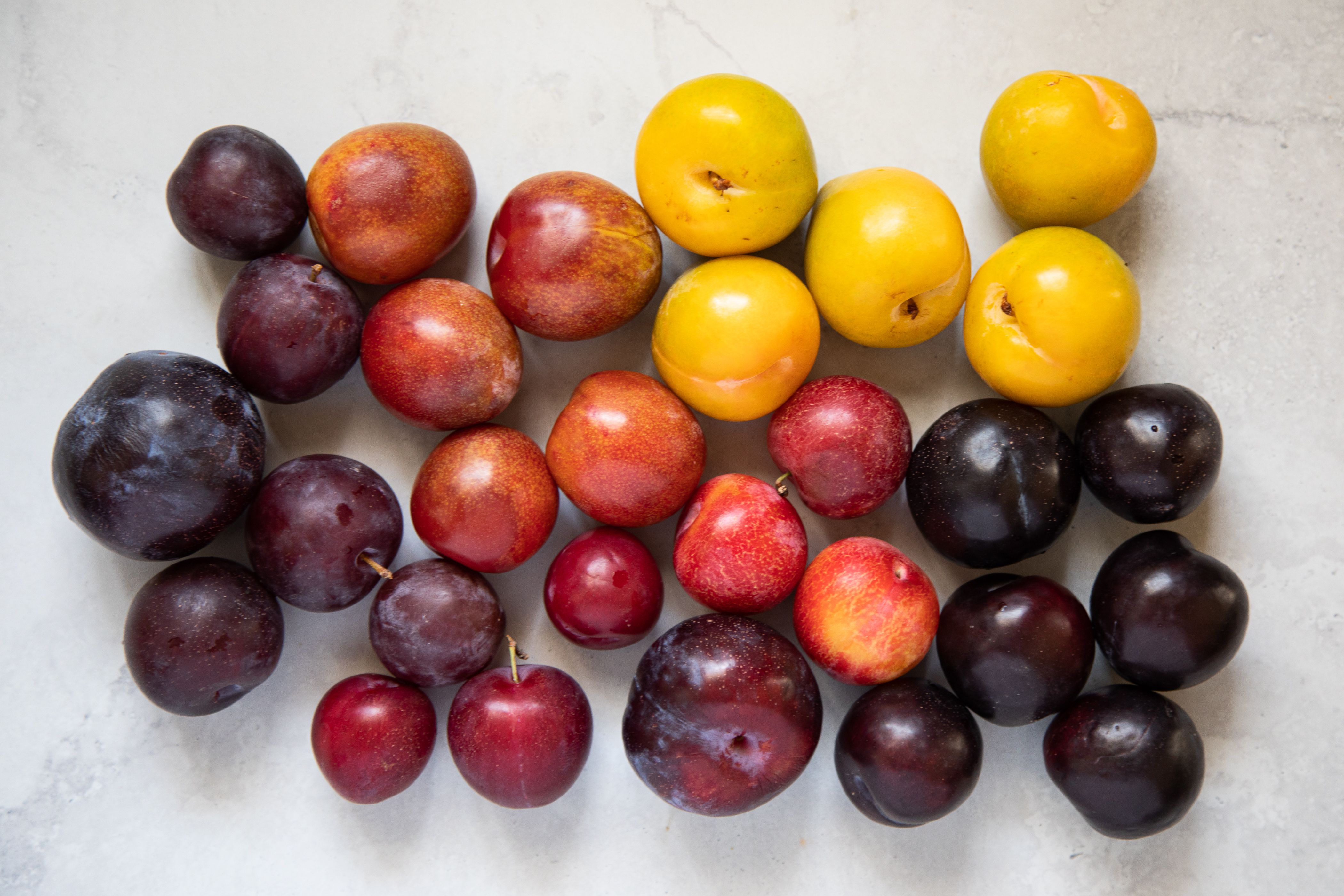 All About Plums