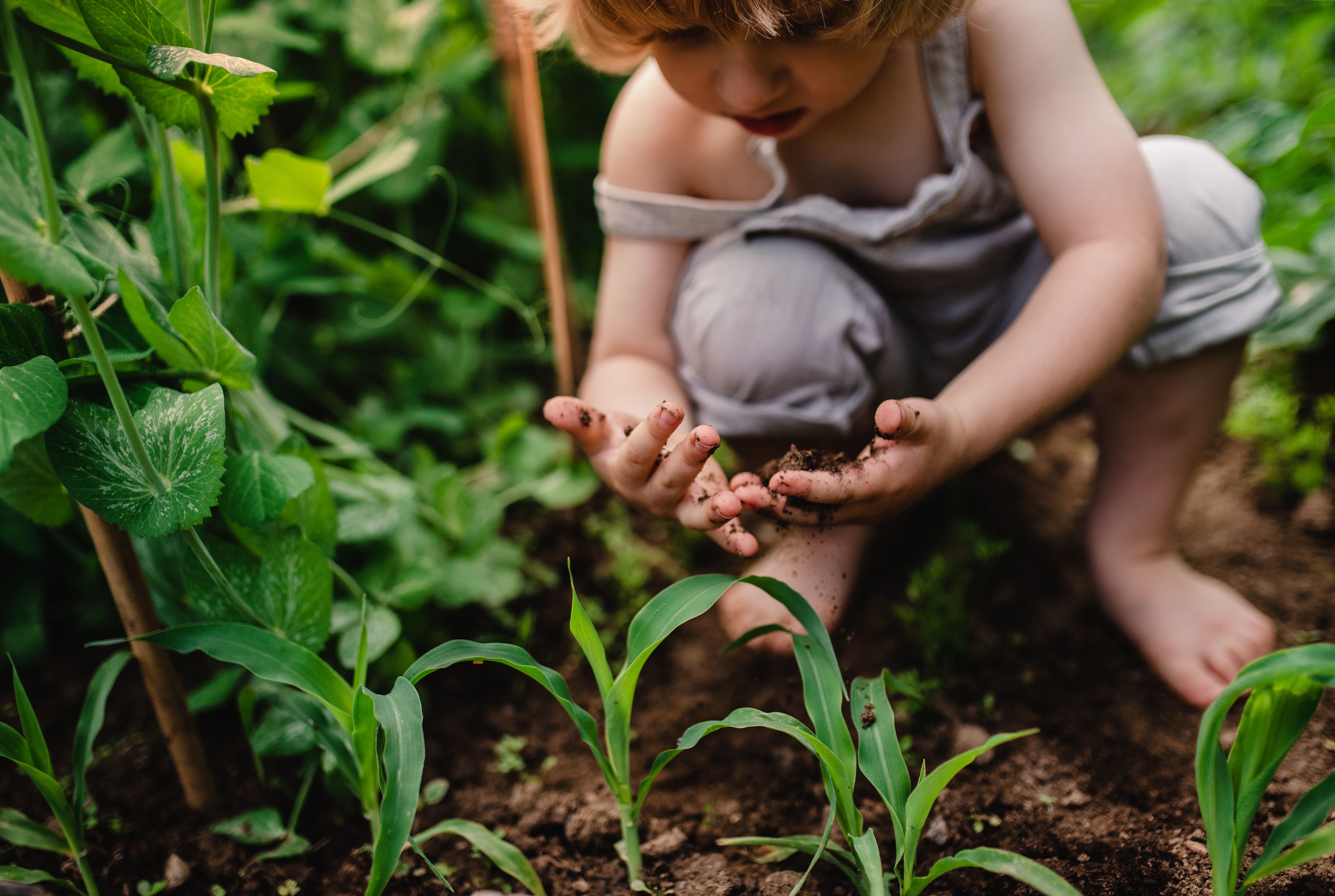 Creative Ideas For a Child-Friendly Garden