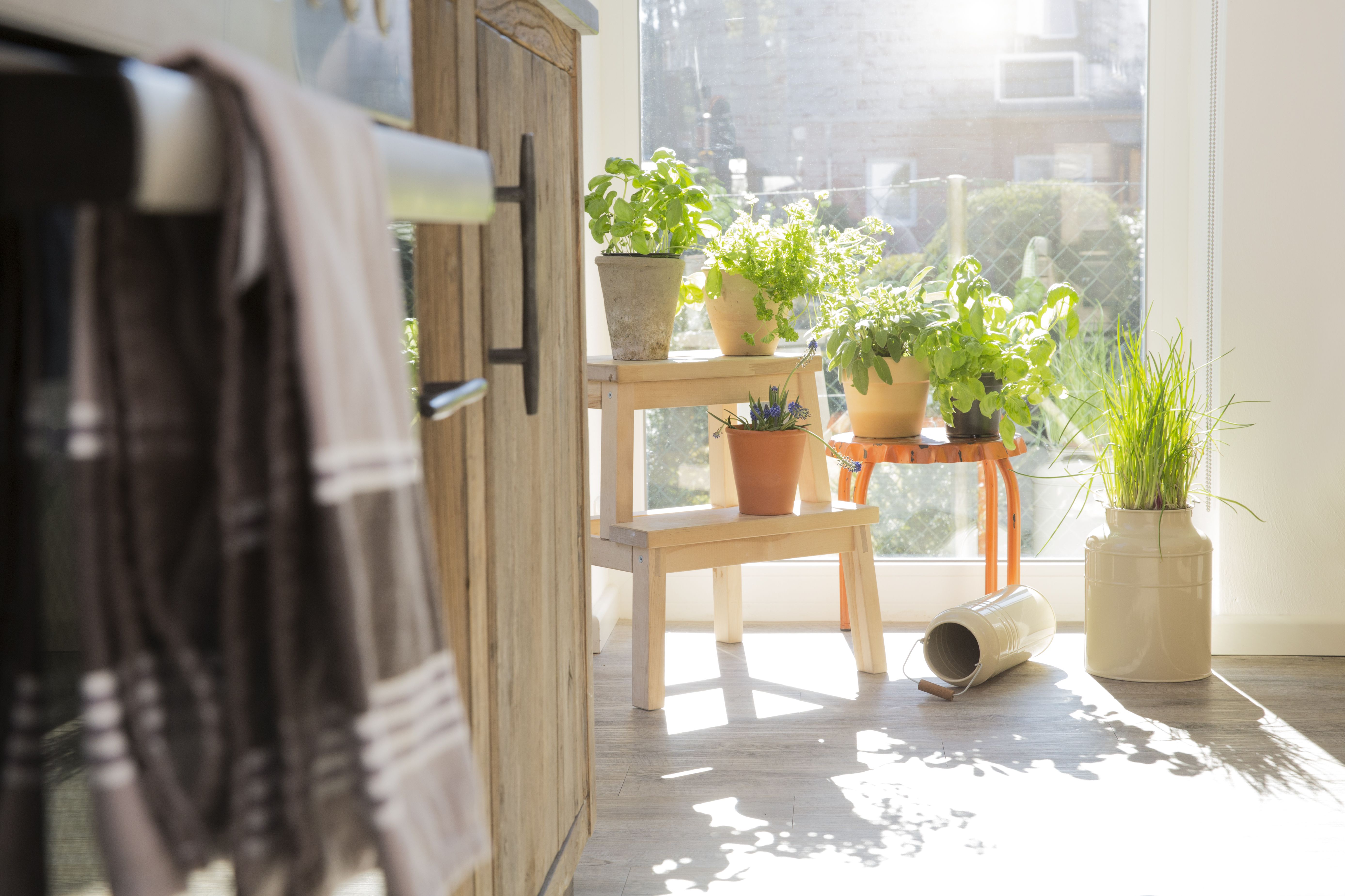 How I Am Designing My New Kitchen'