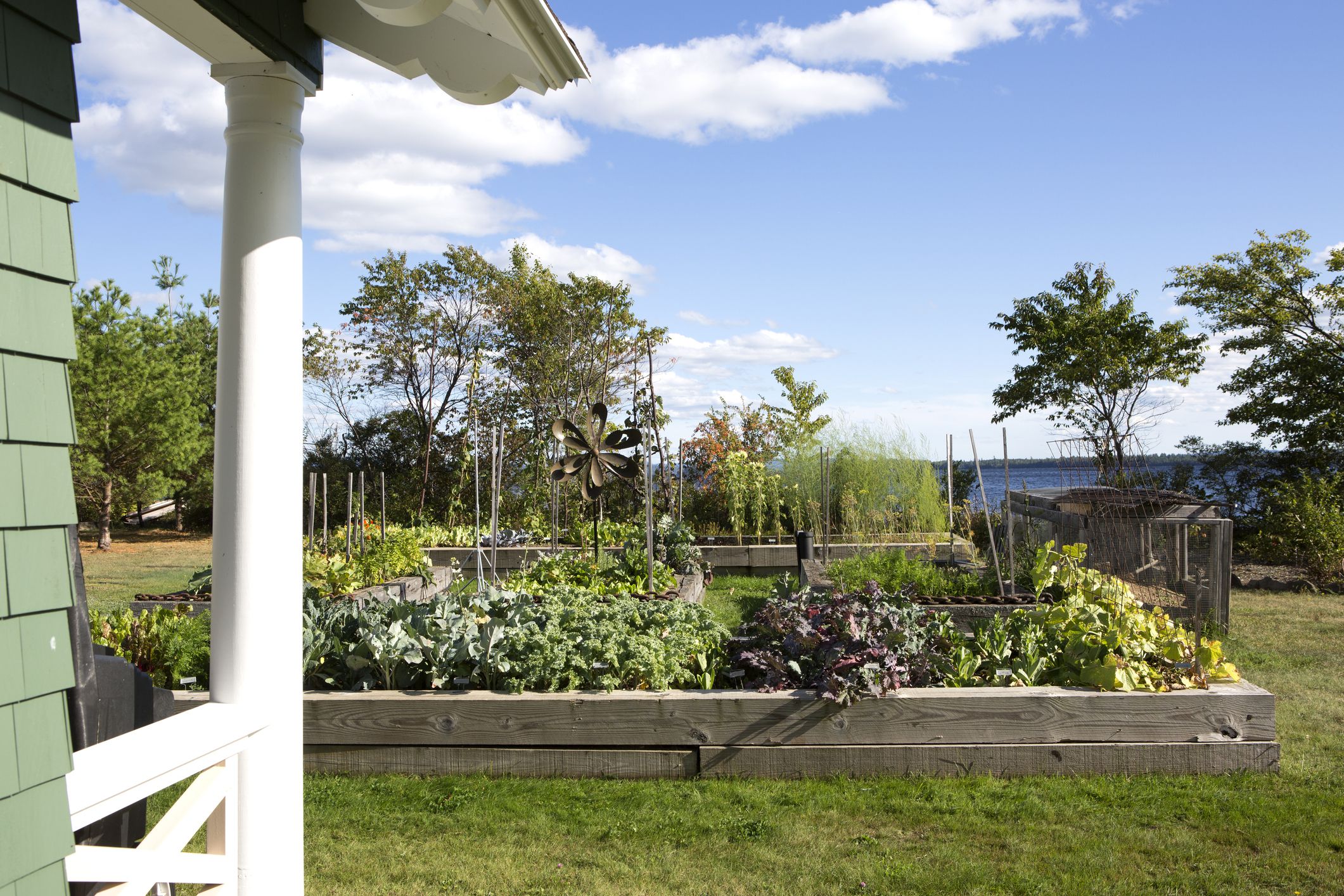 Where Should You Place a New Kitchen Garden?
