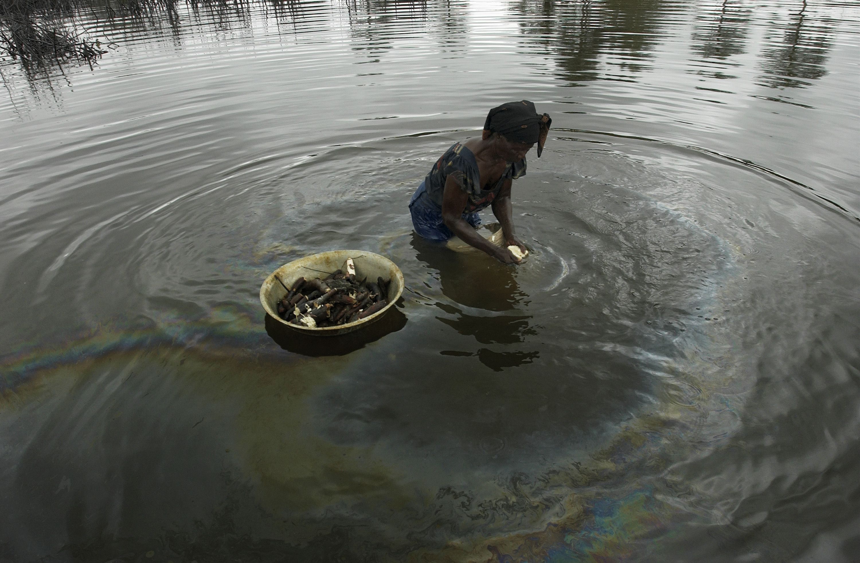Court Orders Shell to Pay for Nigerian Oil Spills