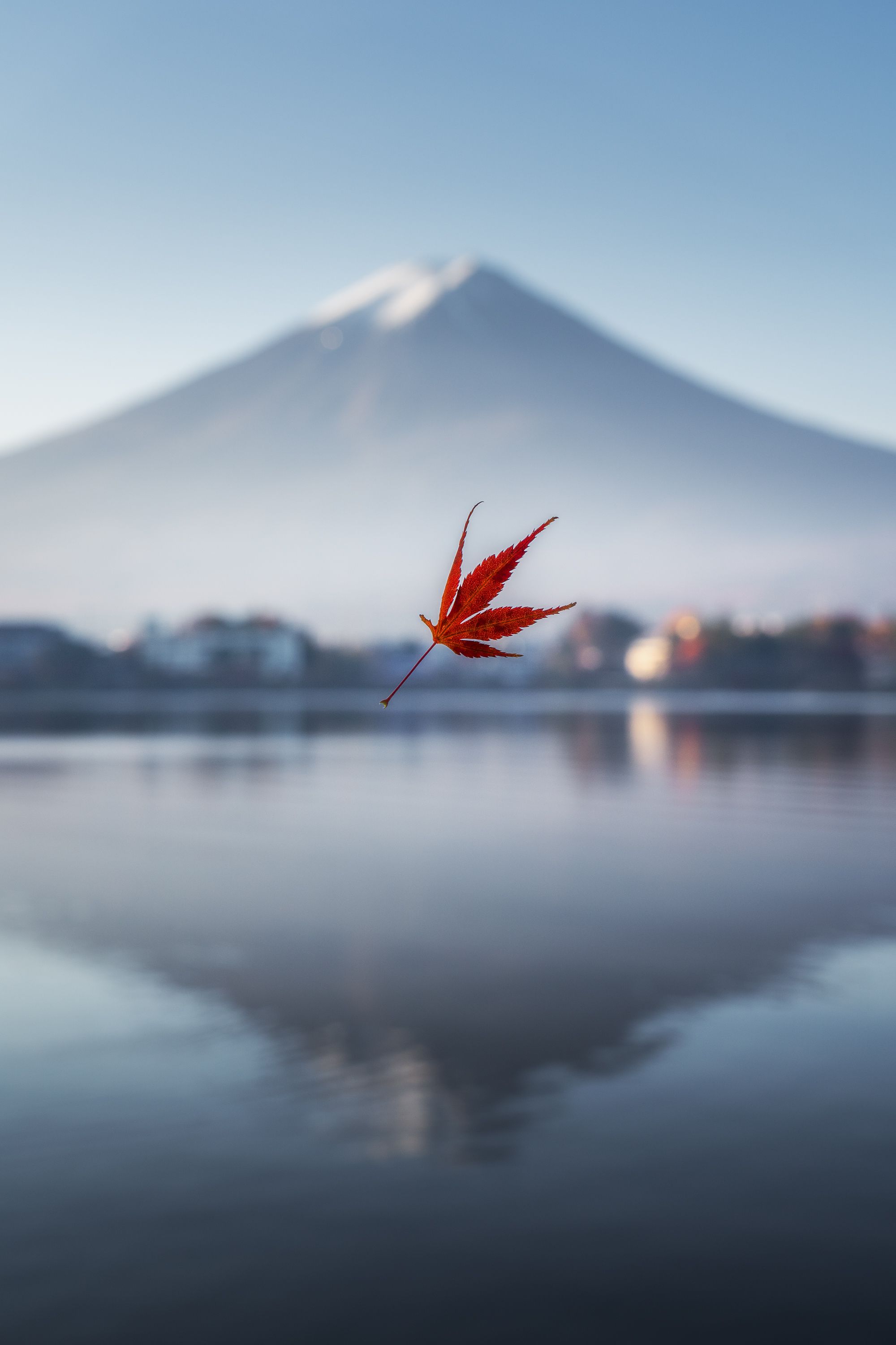 Winning Photographs from Around the World Focus on Nature